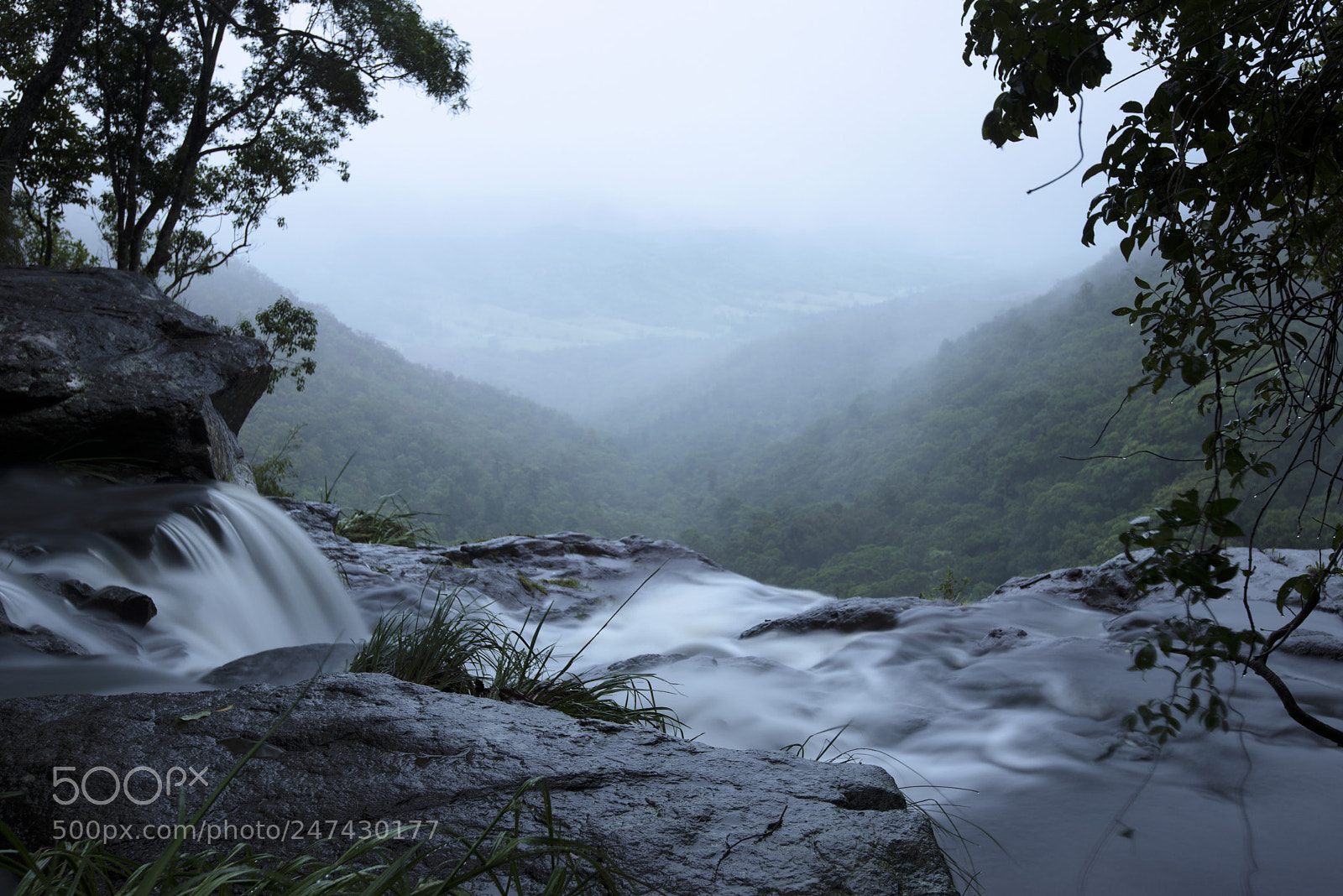 Nikon D800 sample photo. Morans falls in tamborine photography