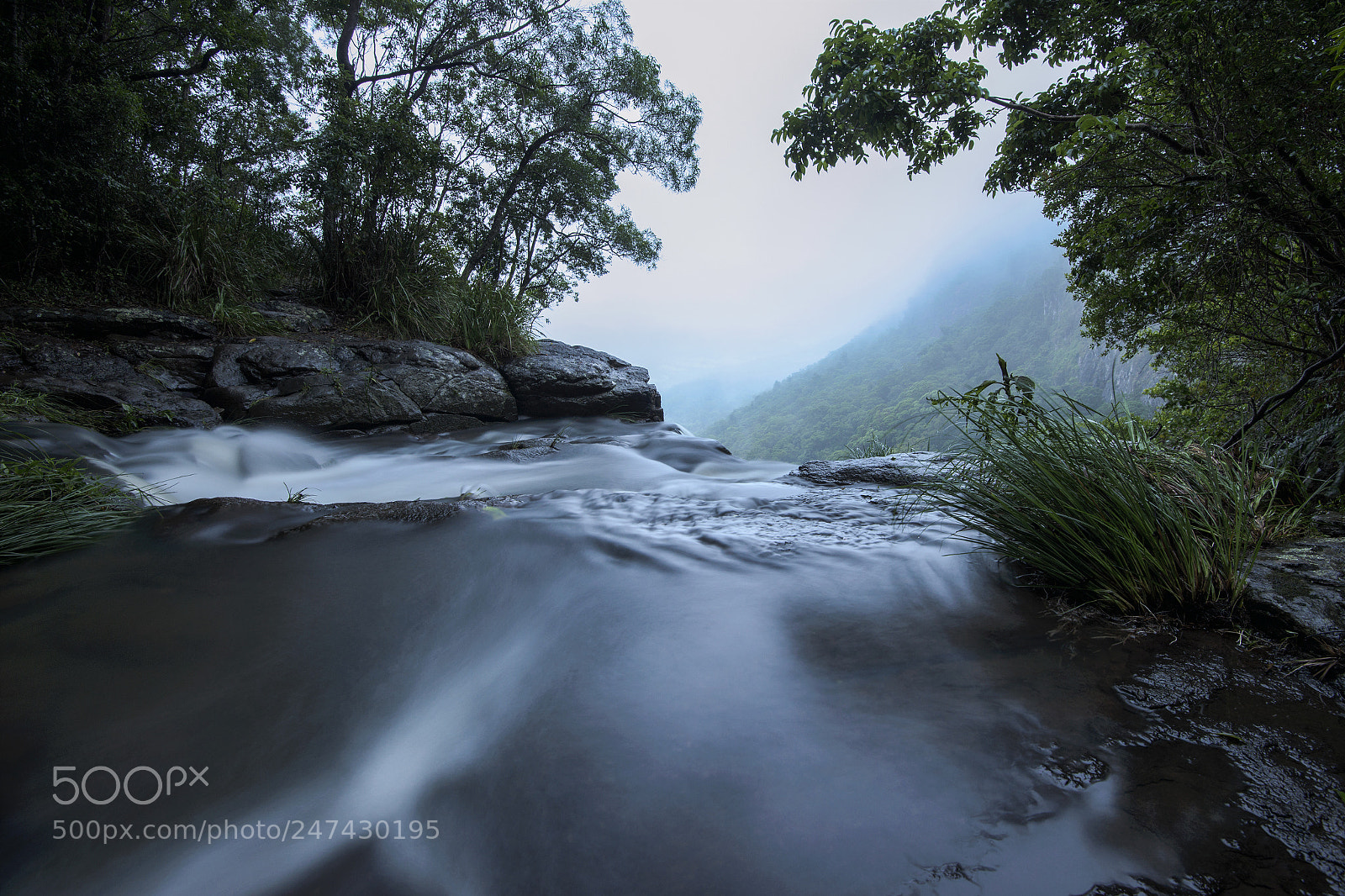 Nikon D800 sample photo. Morans falls in tamborine photography