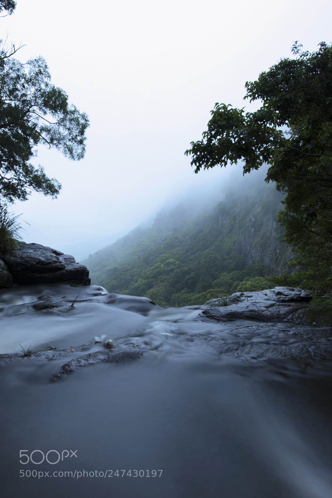 Nikon D800 sample photo. Morans falls in tamborine photography