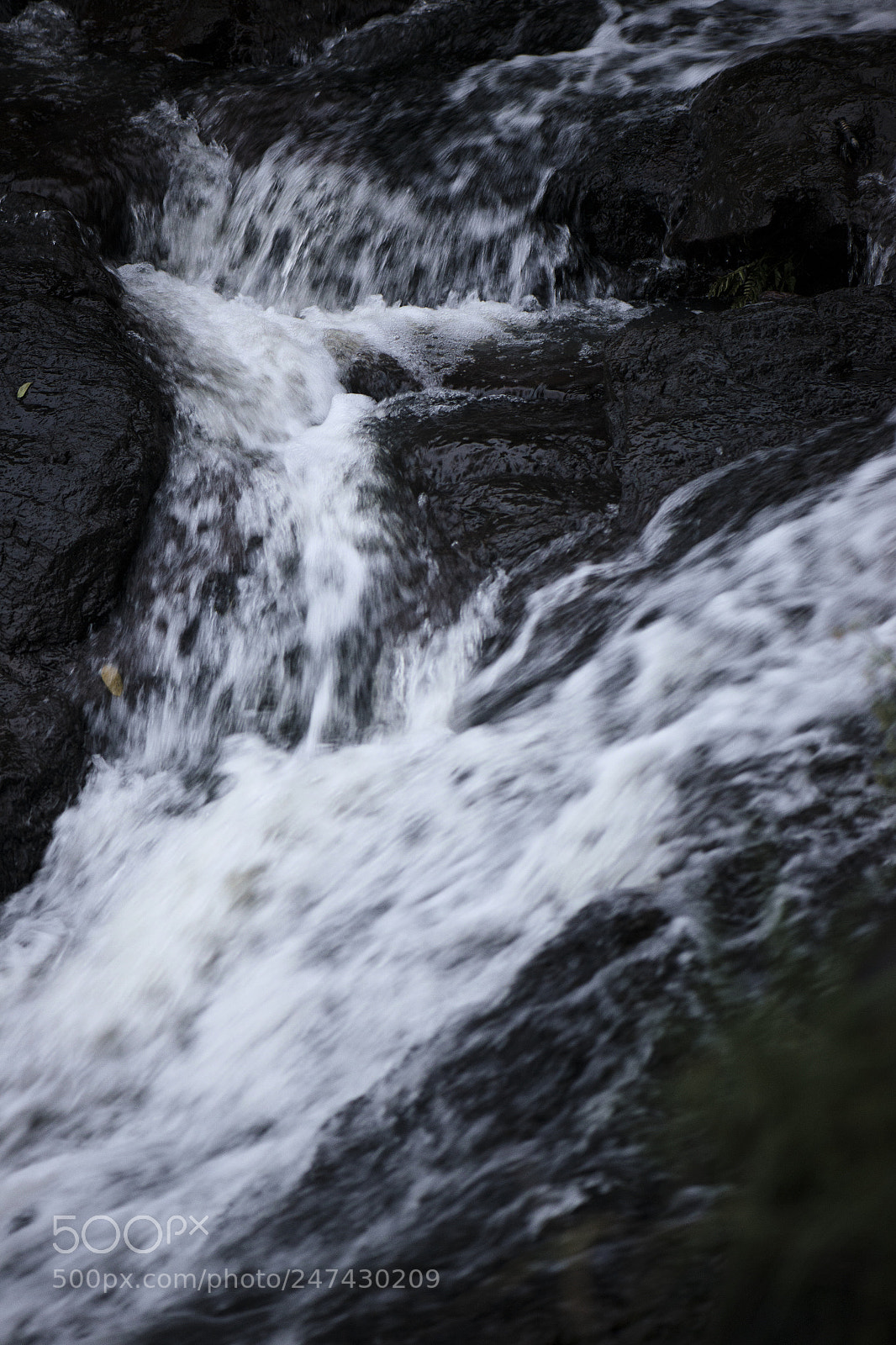 Nikon D800 sample photo. Morans falls in tamborine photography