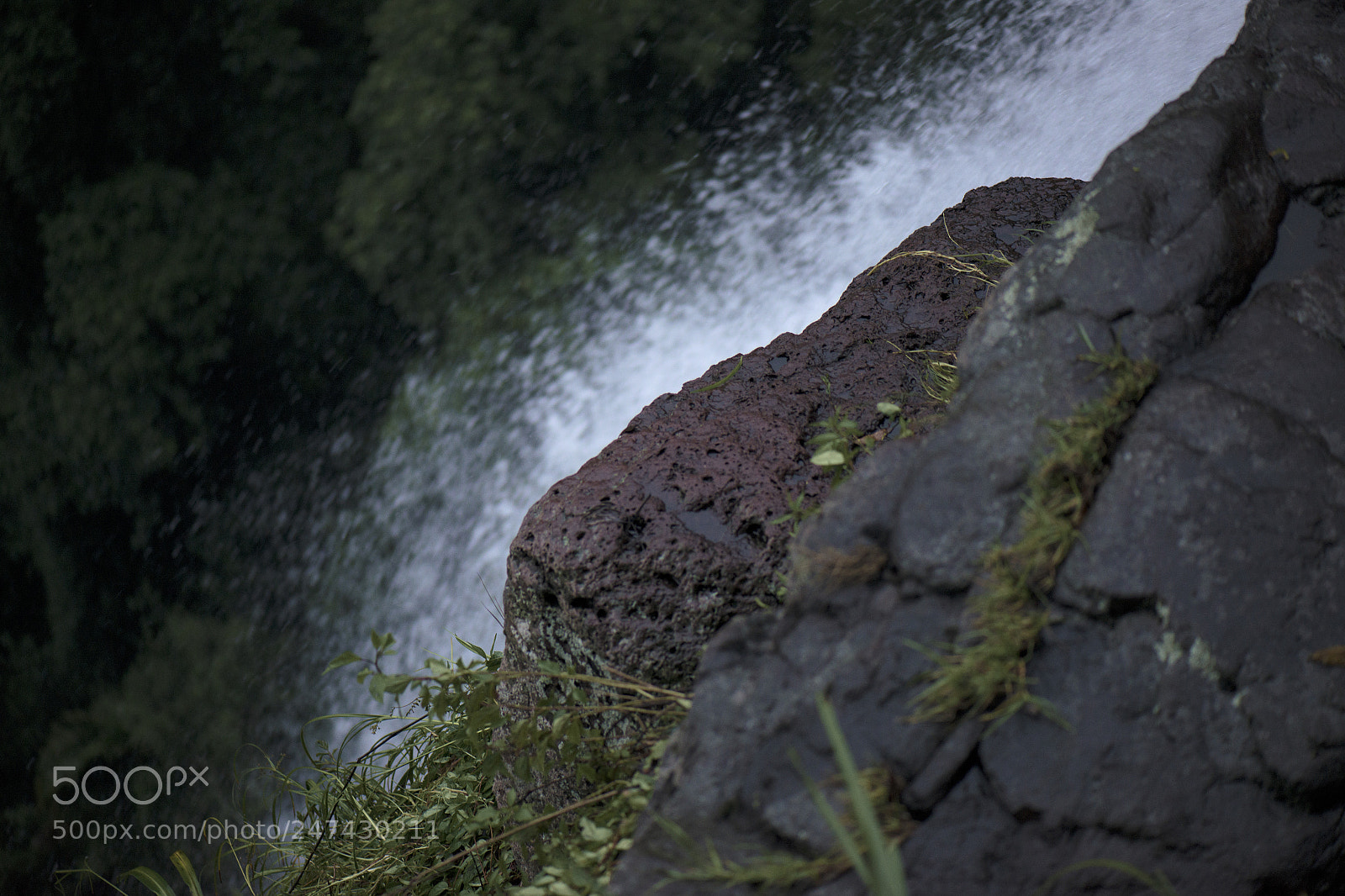 Nikon D800 sample photo. Morans falls in tamborine photography