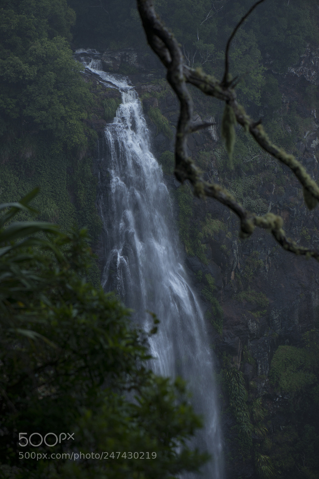 Nikon D800 sample photo. Morans falls in tamborine photography