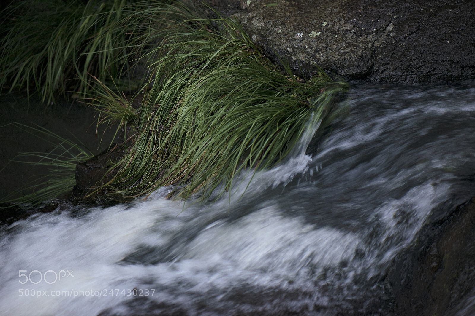 Nikon D800 sample photo. Morans falls in tamborine photography