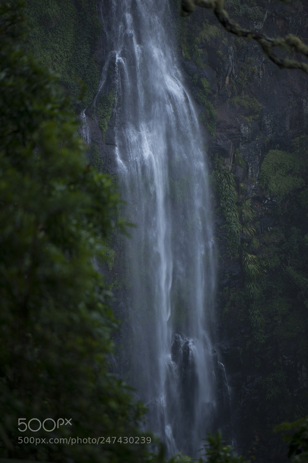 Nikon D800 sample photo. Morans falls in tamborine photography