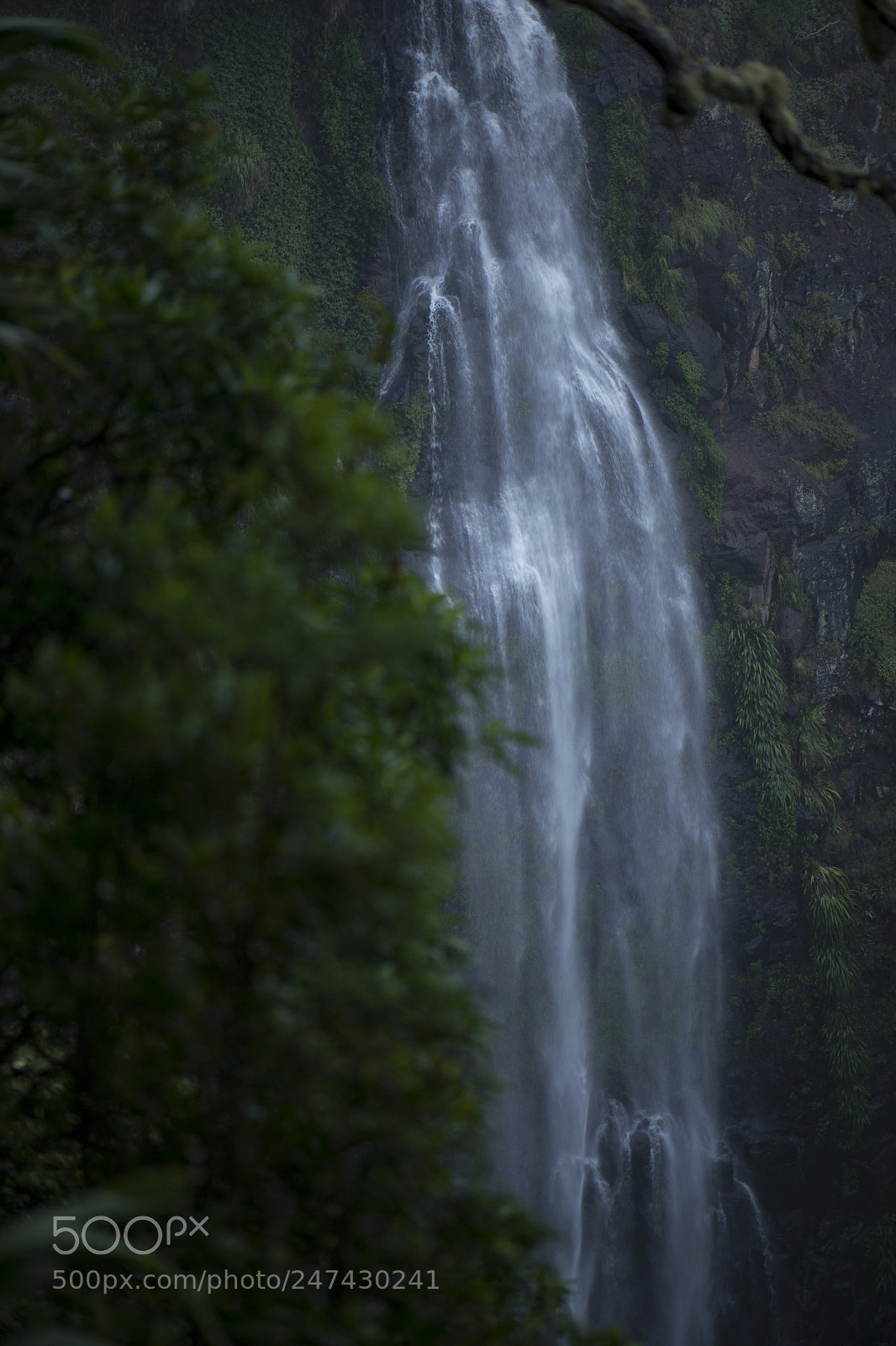 Nikon D800 sample photo. Morans falls in tamborine photography