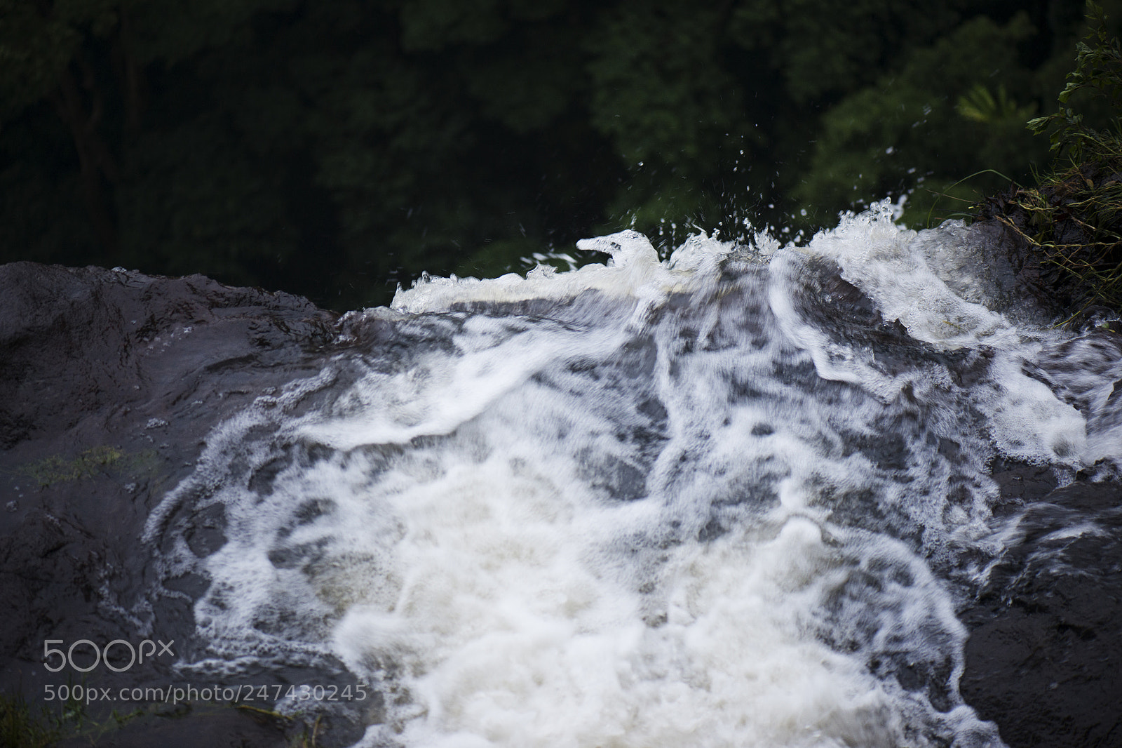 Nikon D800 sample photo. Morans falls in tamborine photography