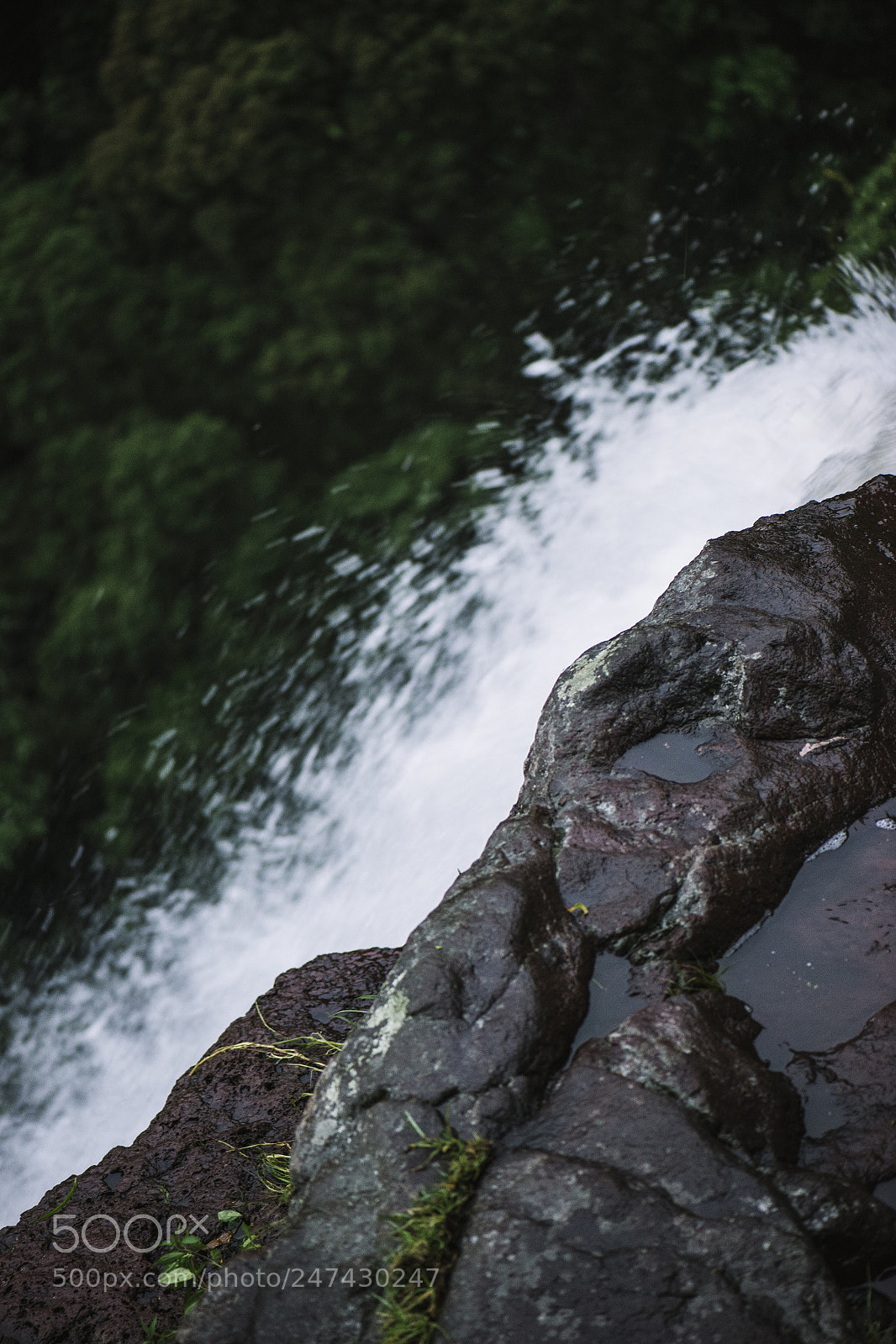 Nikon D800 sample photo. Morans falls in tamborine photography