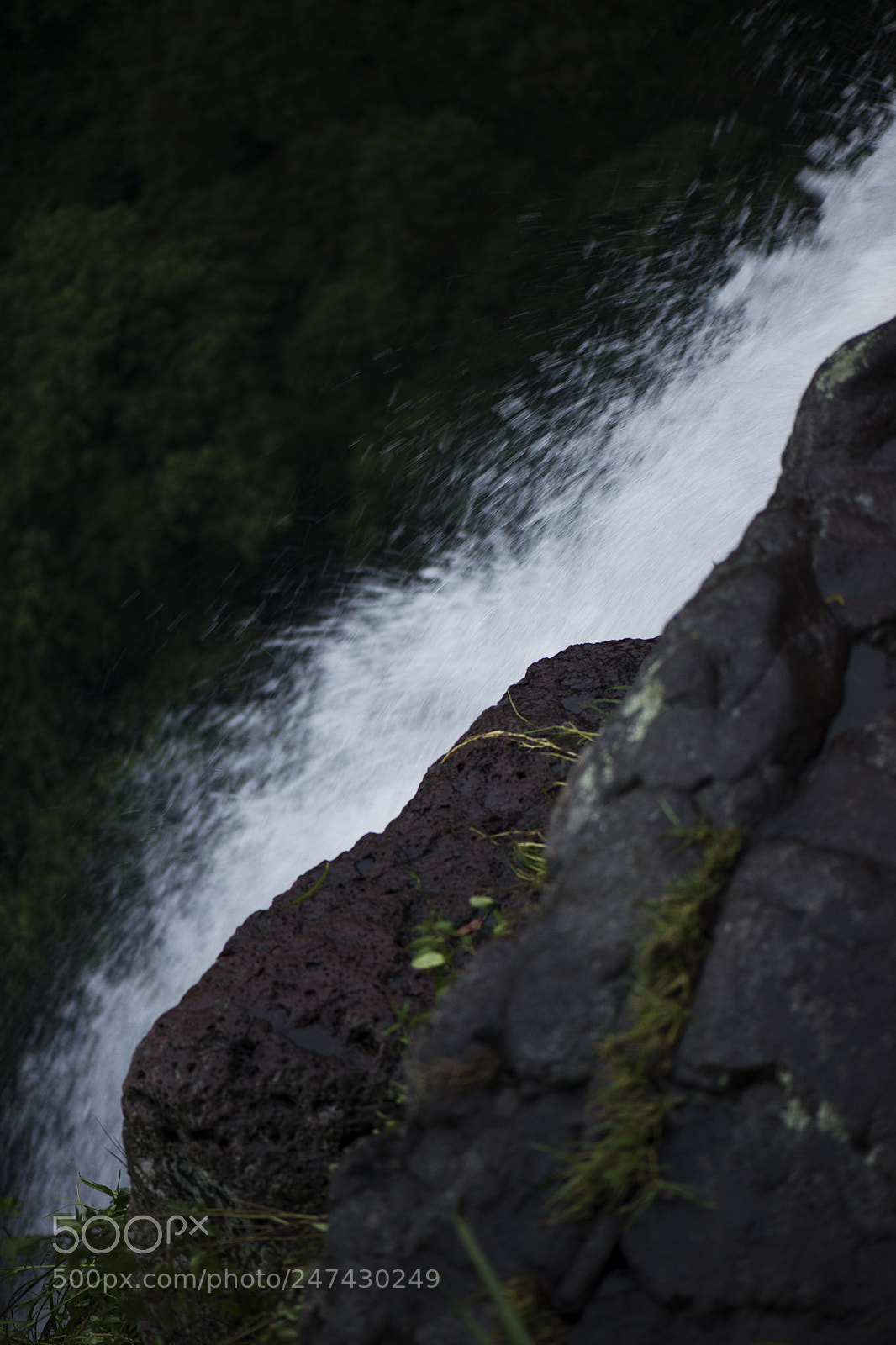 Nikon D800 sample photo. Morans falls in tamborine photography