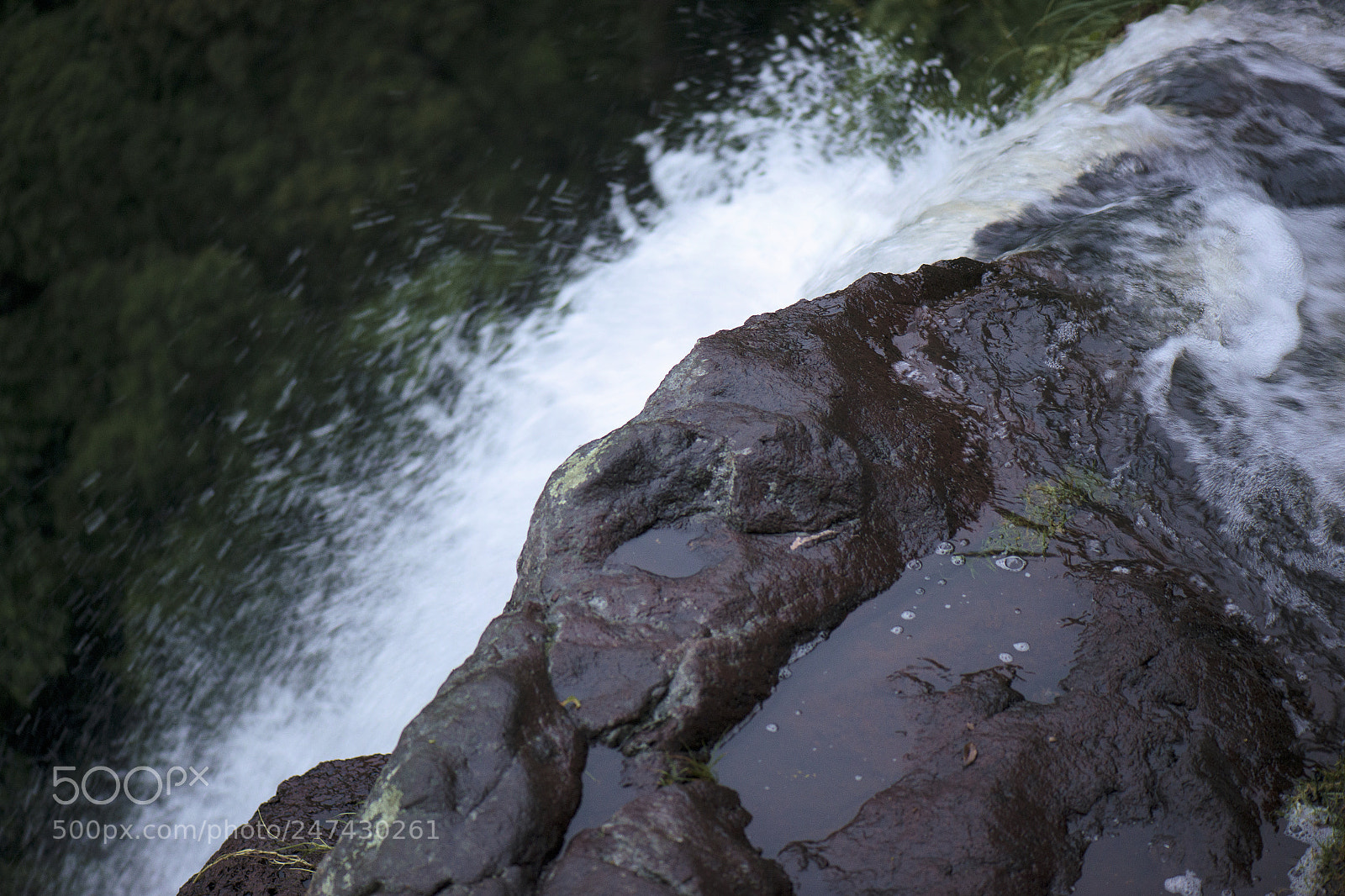 Nikon D800 sample photo. Morans falls in tamborine photography
