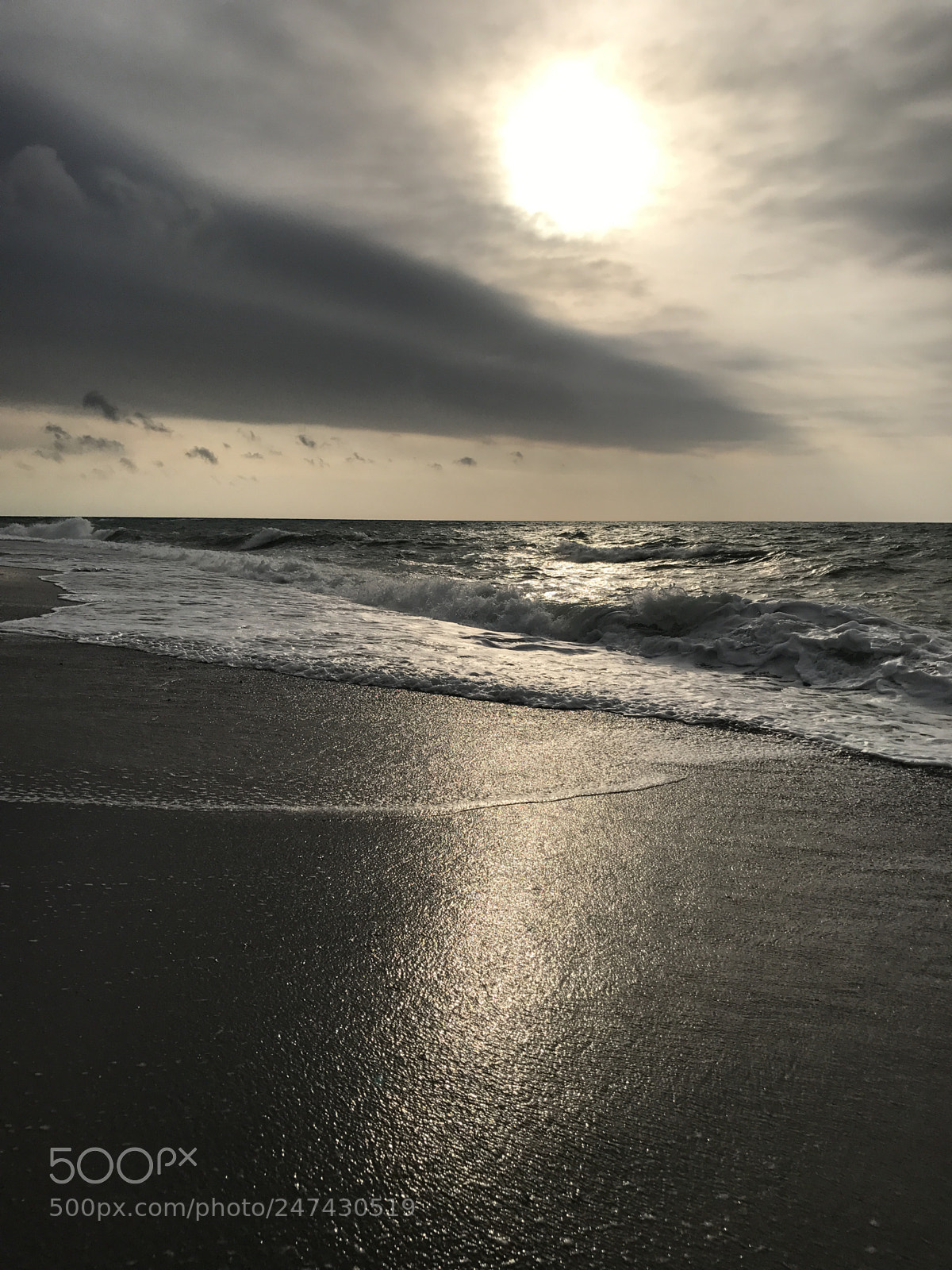 Apple iPhone 7 Plus sample photo. Untitled photography