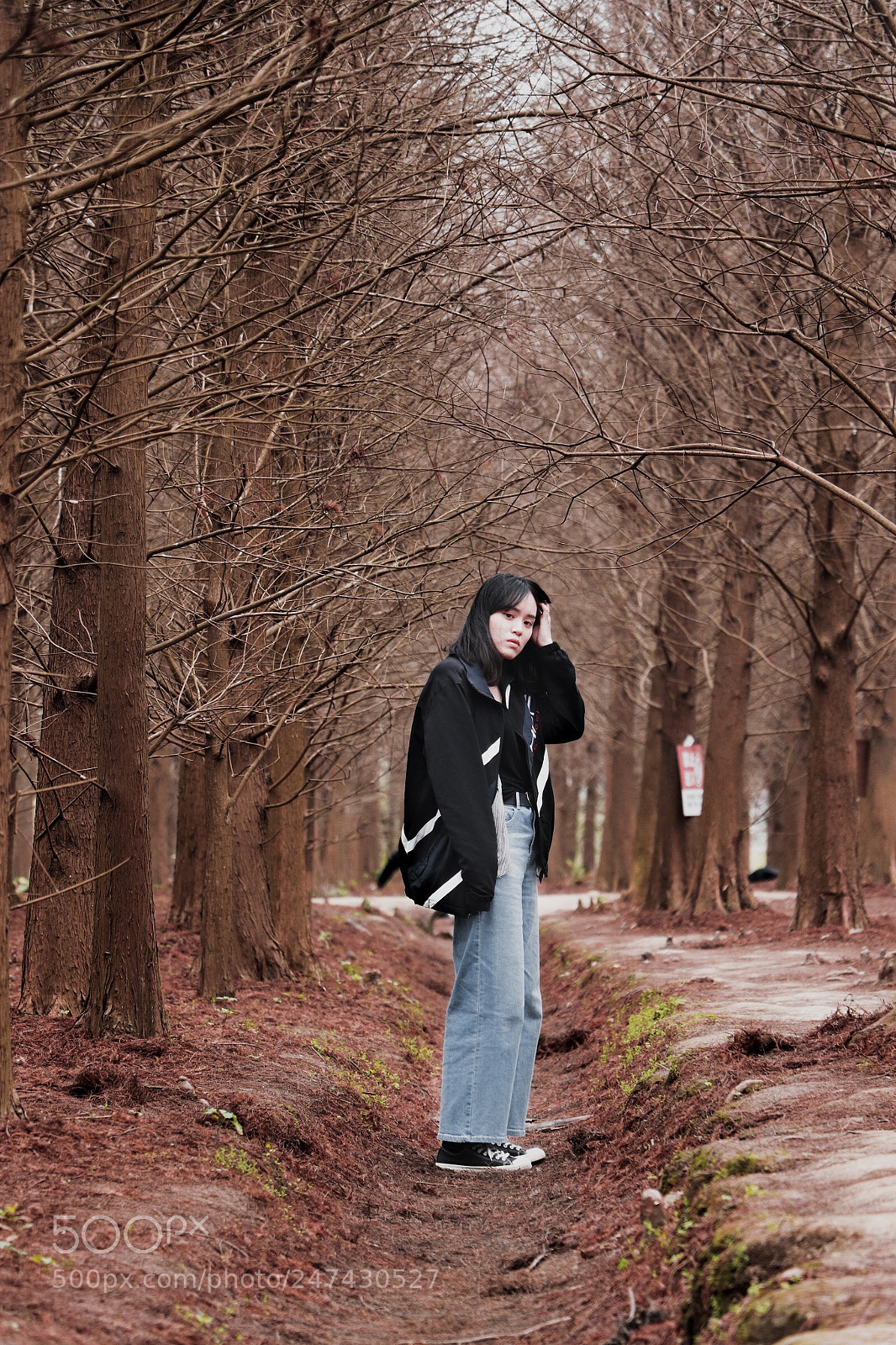 Canon EOS 77D (EOS 9000D / EOS 770D) sample photo. • photography