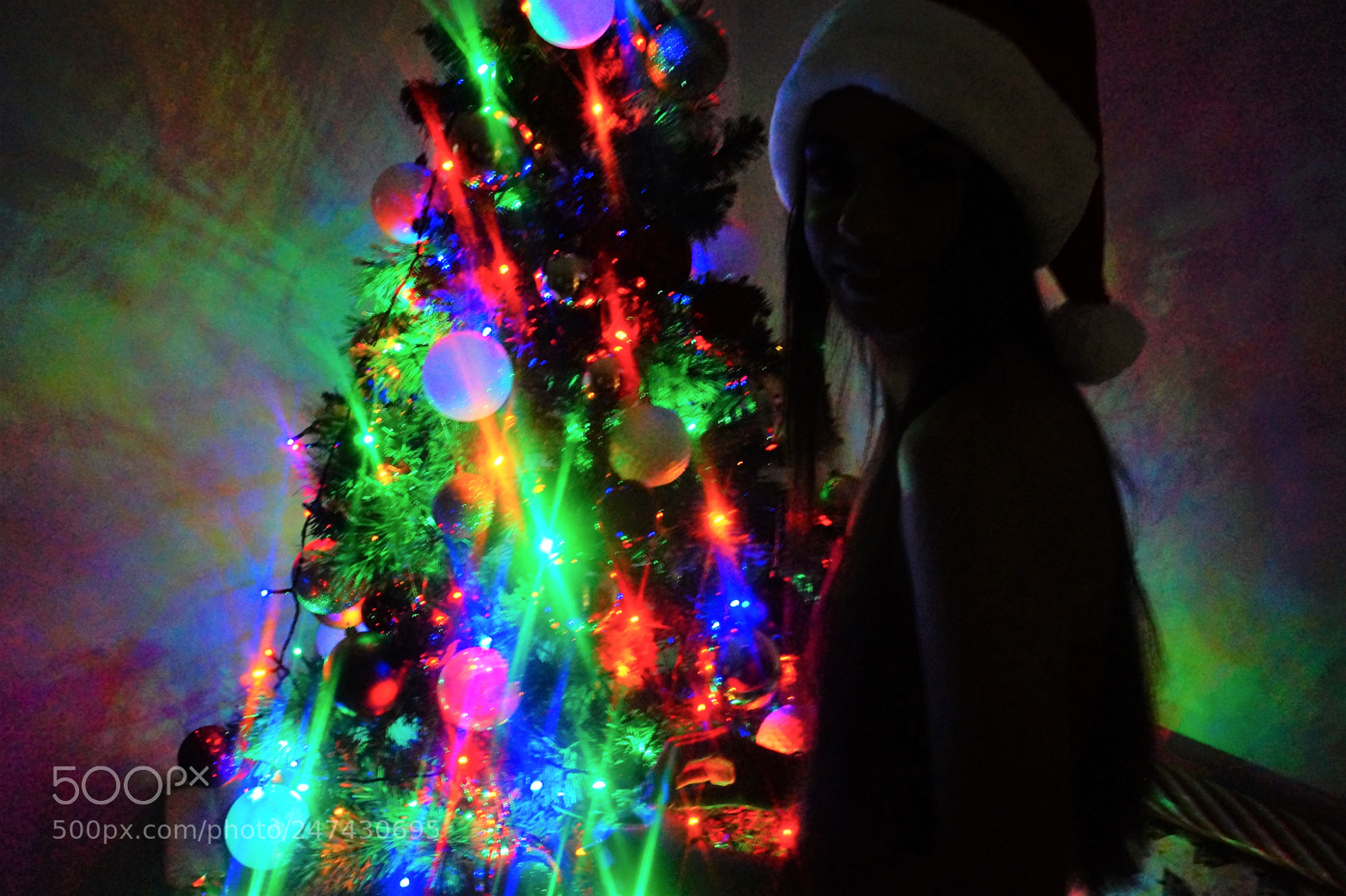 Sony Alpha a3500 sample photo. Christmas beauty photography