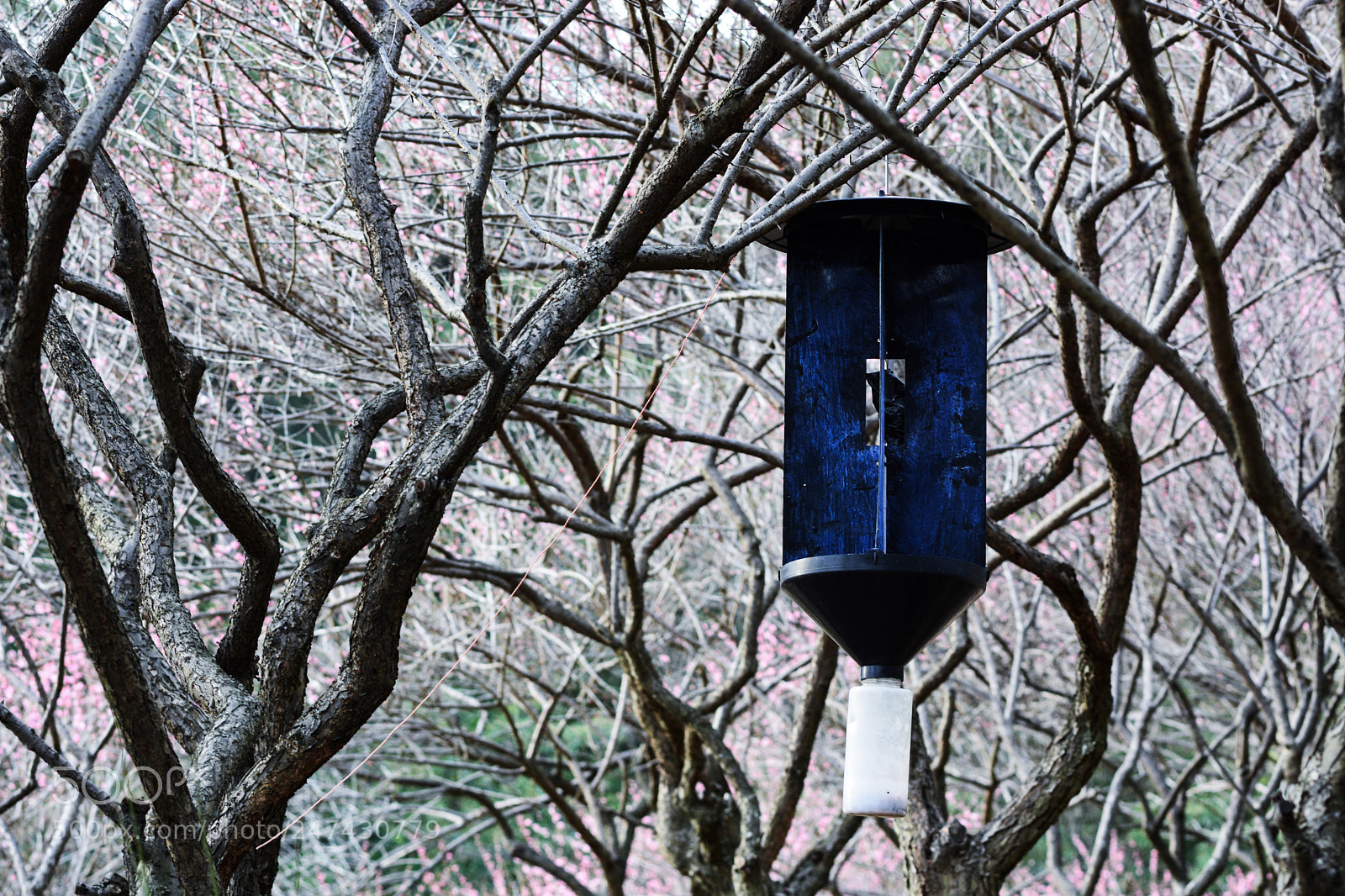 Nikon D7100 sample photo. Untitled photography