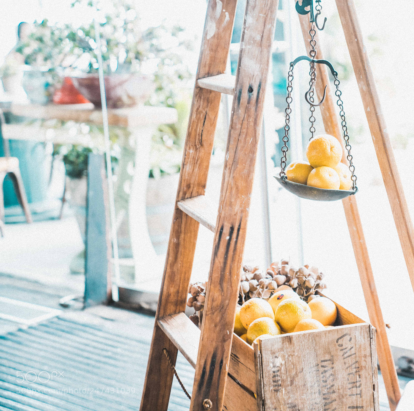 Sony a7R II sample photo. Dsc photography
