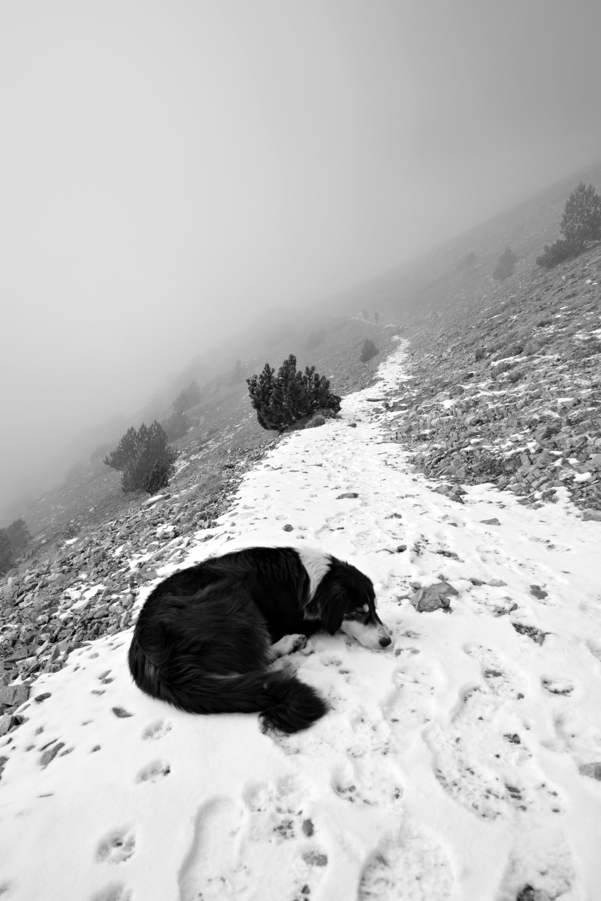 Nikon D7100 sample photo. #93 photography