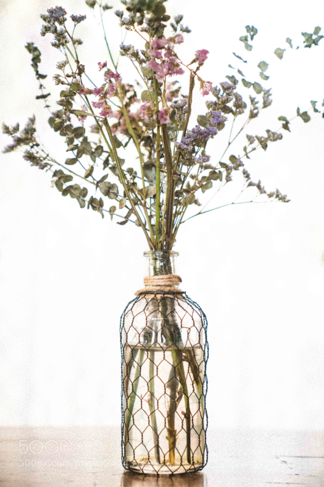 Sony a7R II sample photo. Dsc photography
