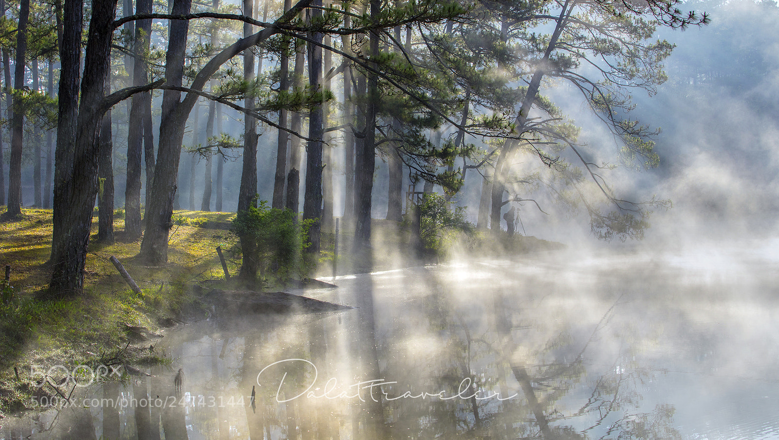 Canon EOS 5DS R sample photo. Morning lake photography