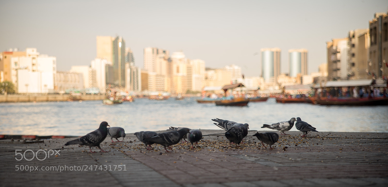Nikon D600 sample photo. Dubai creek photography