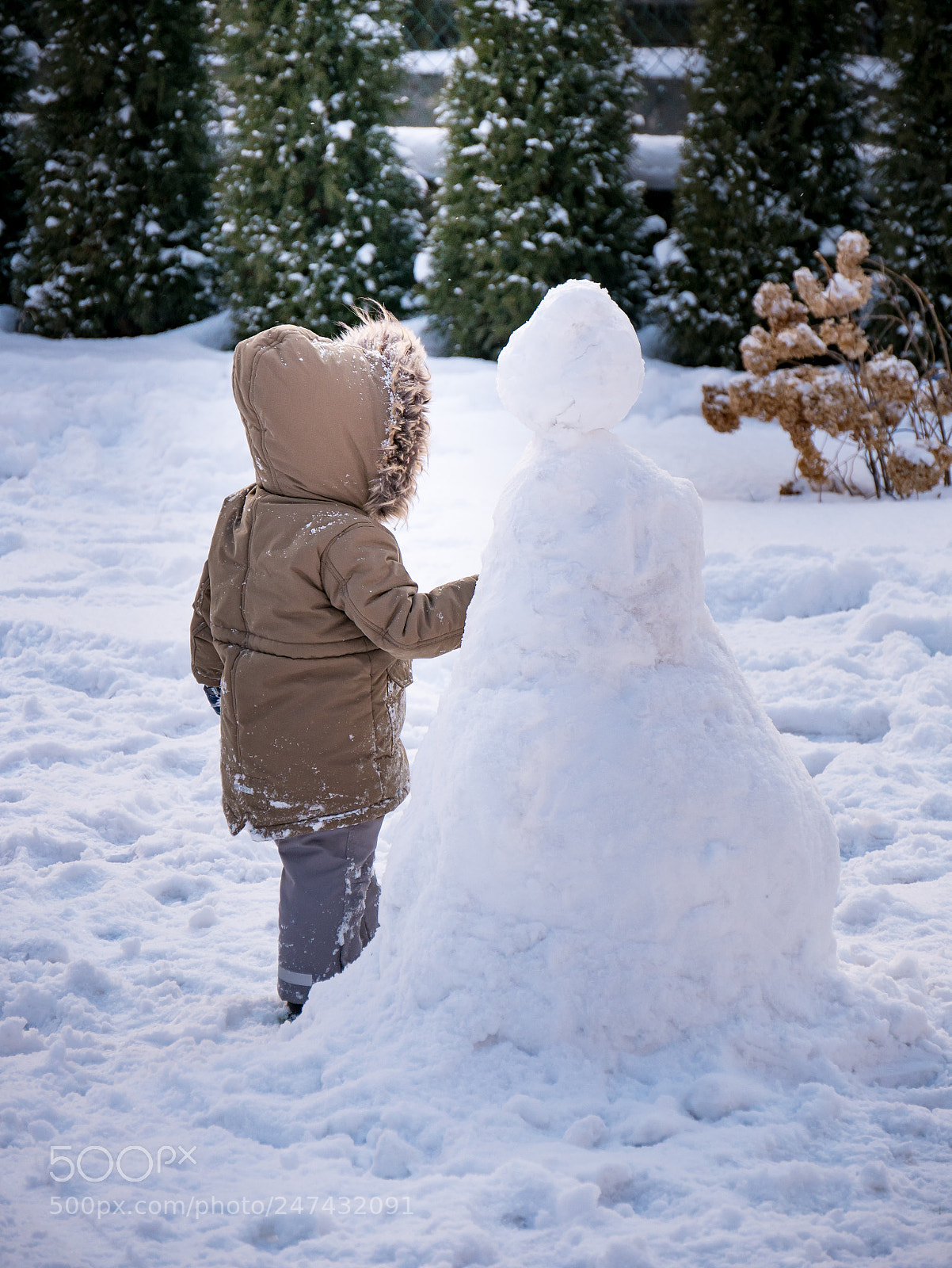Panasonic Lumix DMC-GX85 (Lumix DMC-GX80 / Lumix DMC-GX7 Mark II) sample photo. Winter buddies photography