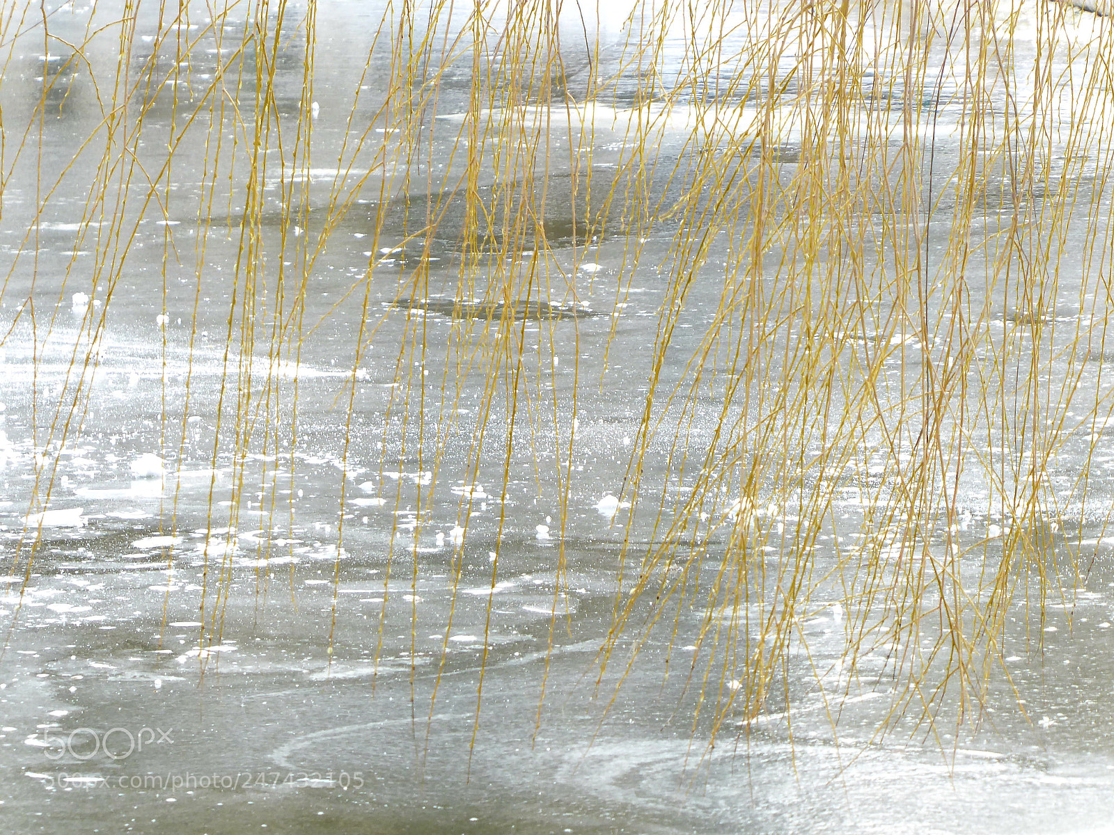 Panasonic DMC-TZ71 sample photo. Ice_i photography