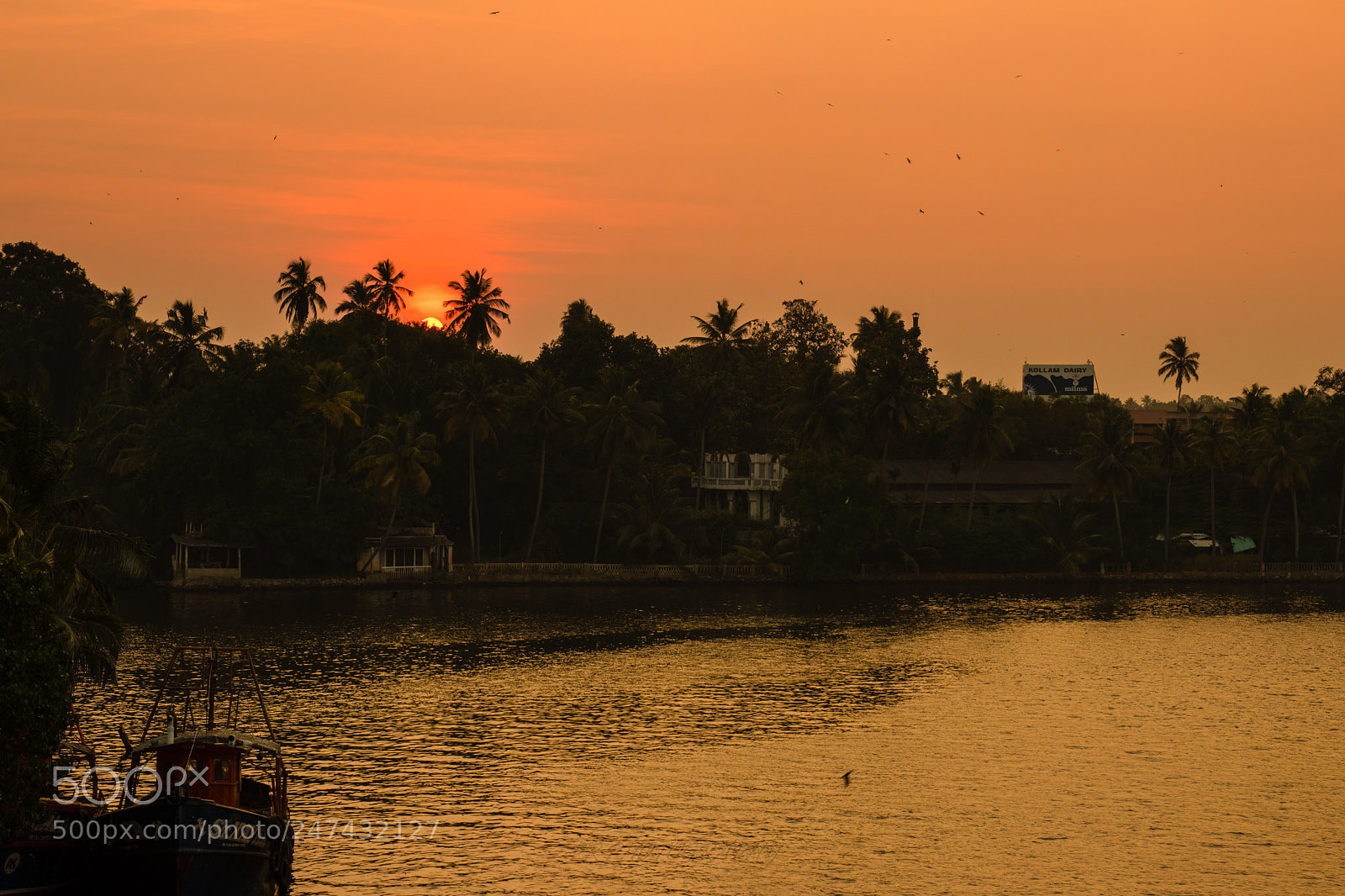 Canon EOS 80D sample photo. Edit photography