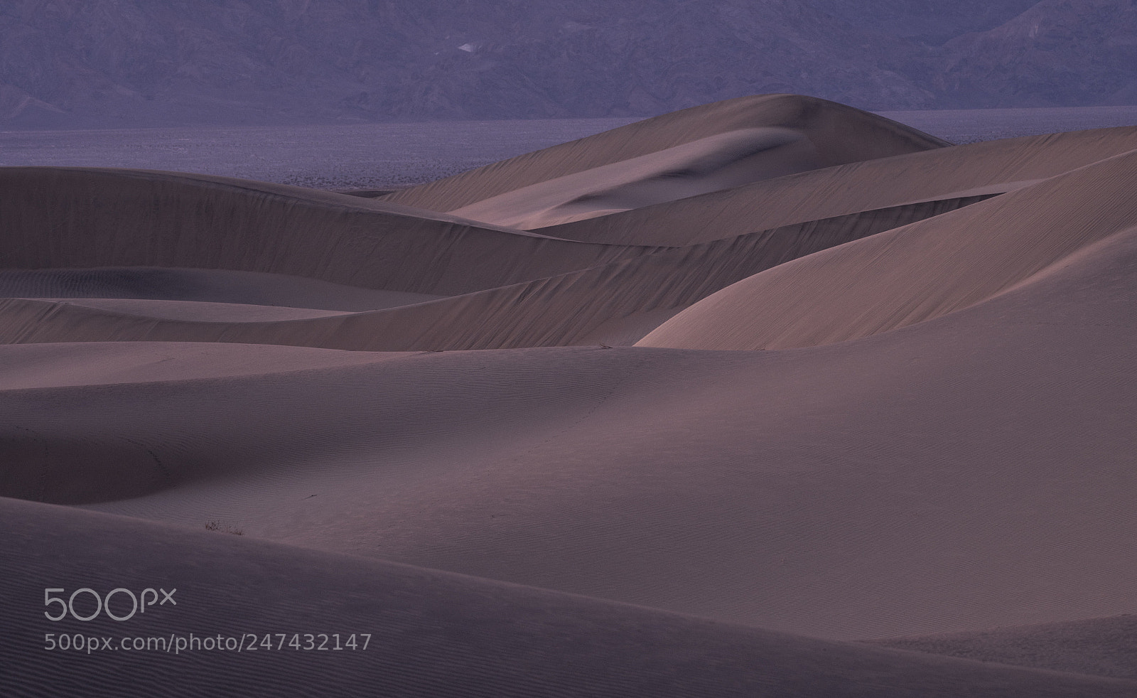 Sony a7R II sample photo. Dunes photography