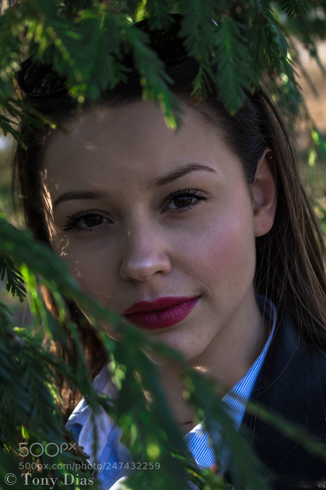 Canon EOS 700D (EOS Rebel T5i / EOS Kiss X7i) sample photo. Ce sont nos choix photography