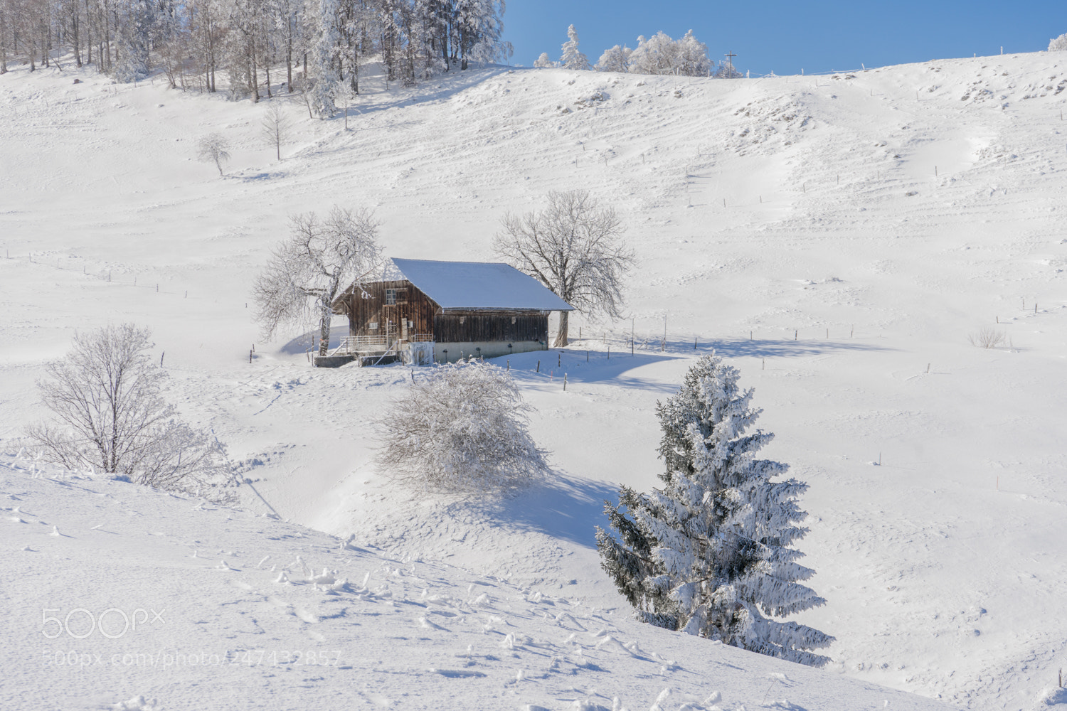 Sony a7 II sample photo. Wintermärchen i photography