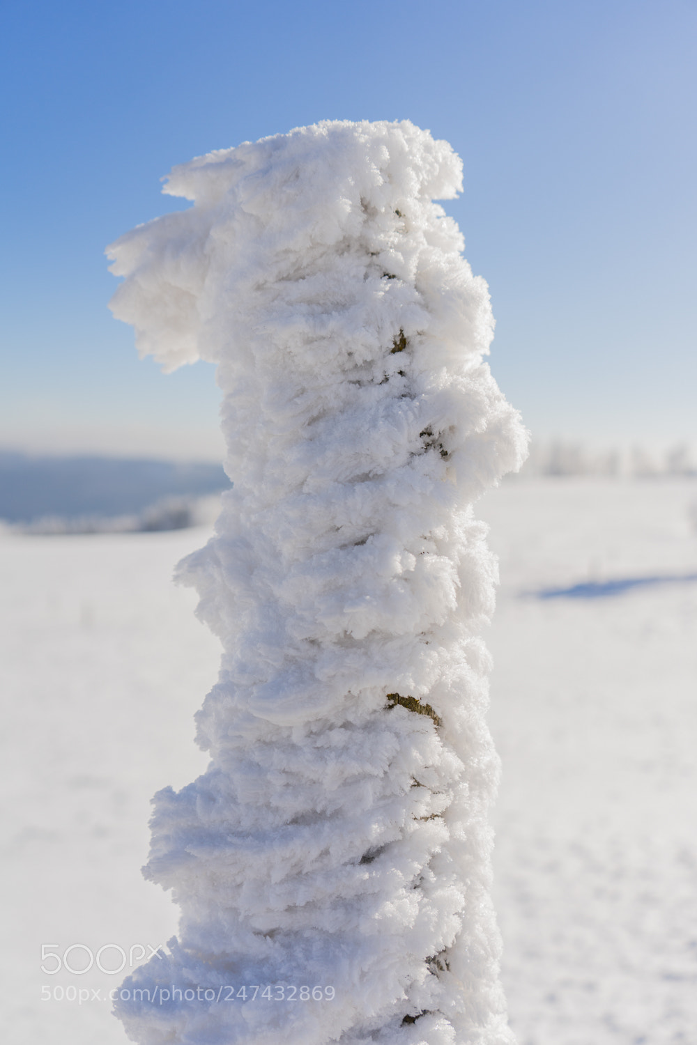 Sony a7 II sample photo. Frost photography