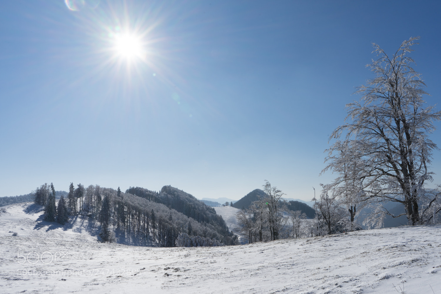 Sony a7 II sample photo. Wintermärchen ii photography