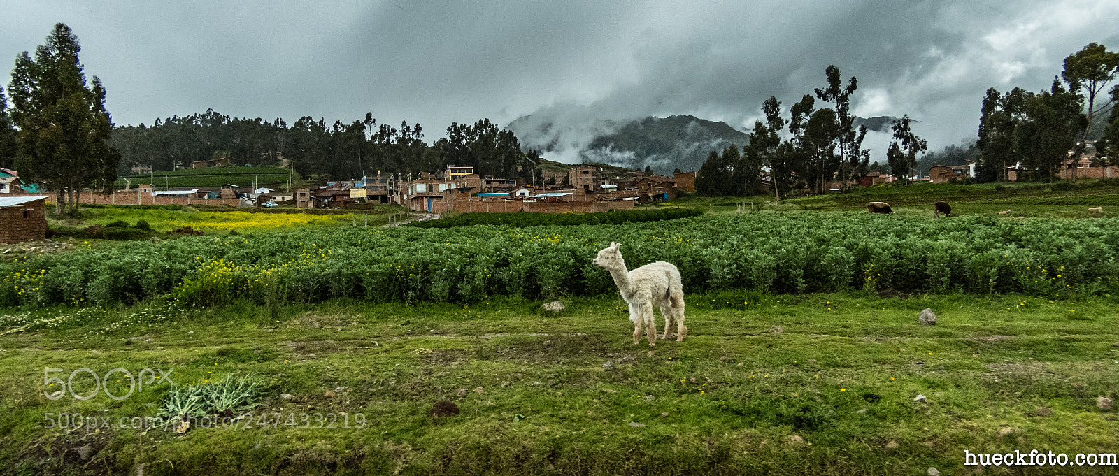 Nikon Coolpix B700 sample photo. Cusco & sacred valley photography