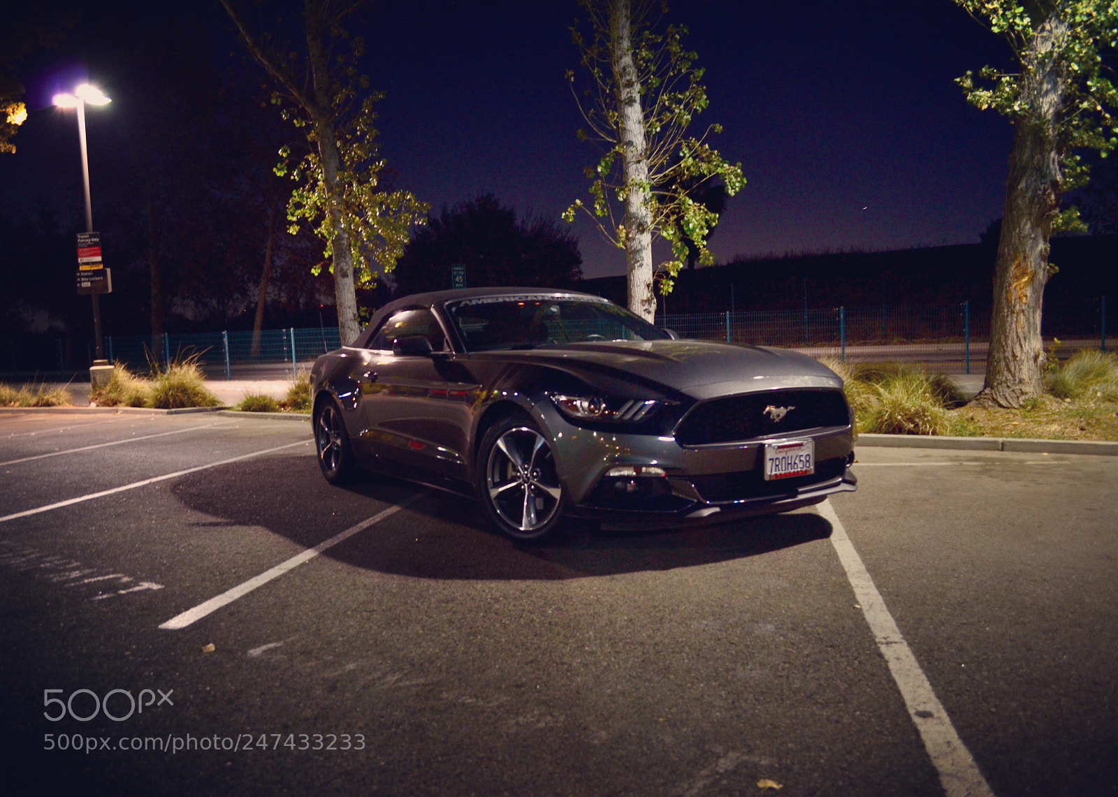 Nikon D5100 sample photo. Was only able to photography