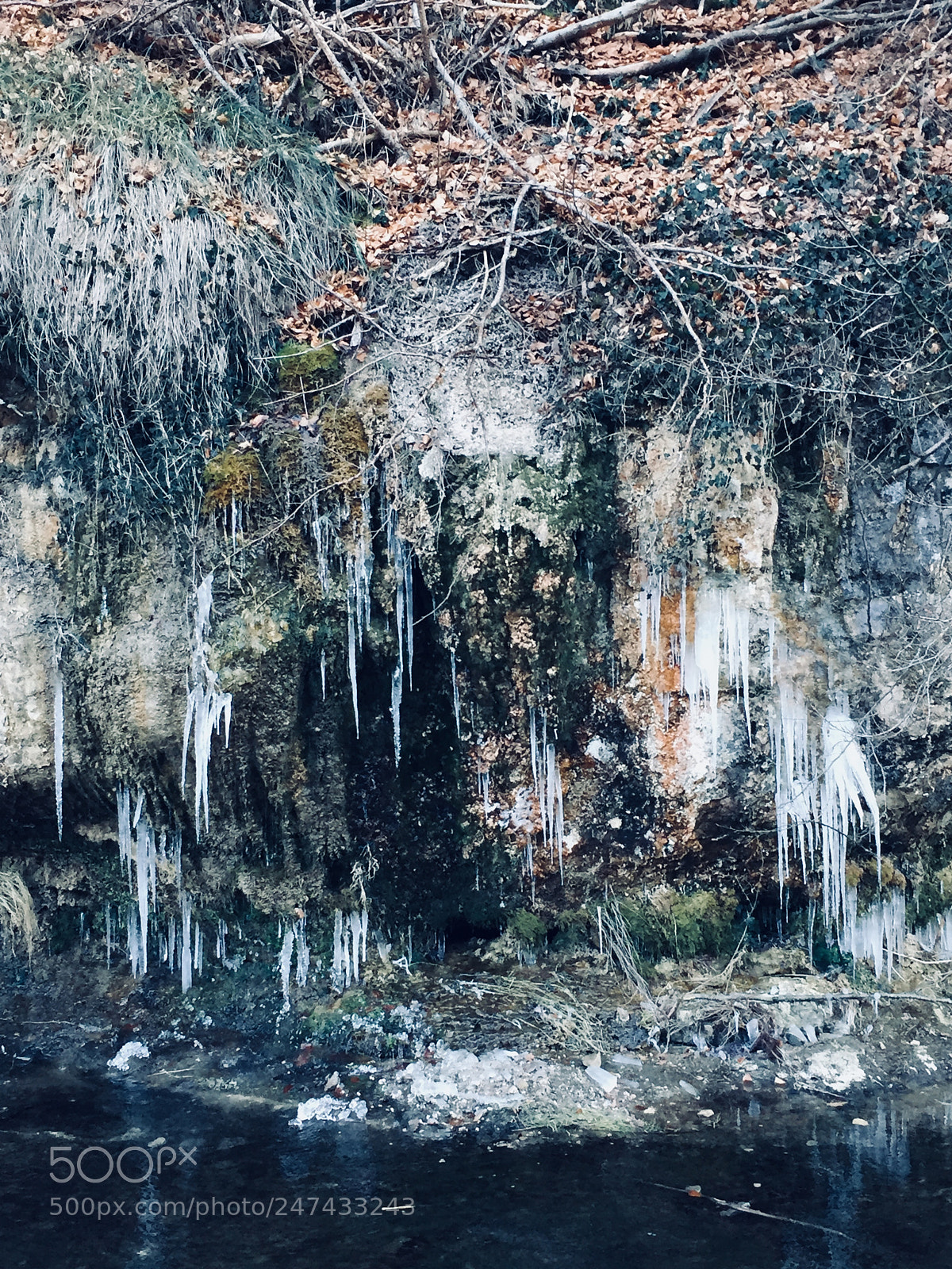 Apple iPhone 6 sample photo. Icy morning photography