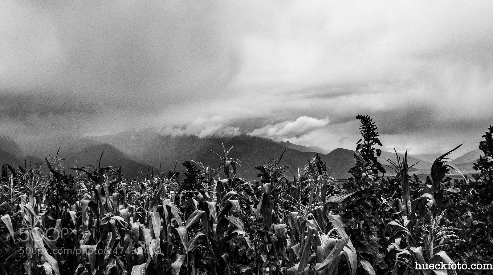 Nikon Coolpix B700 sample photo. Cusco & sacred valley photography
