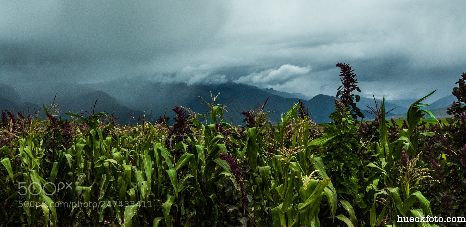 Nikon Coolpix B700 sample photo. Cusco & sacred valley photography