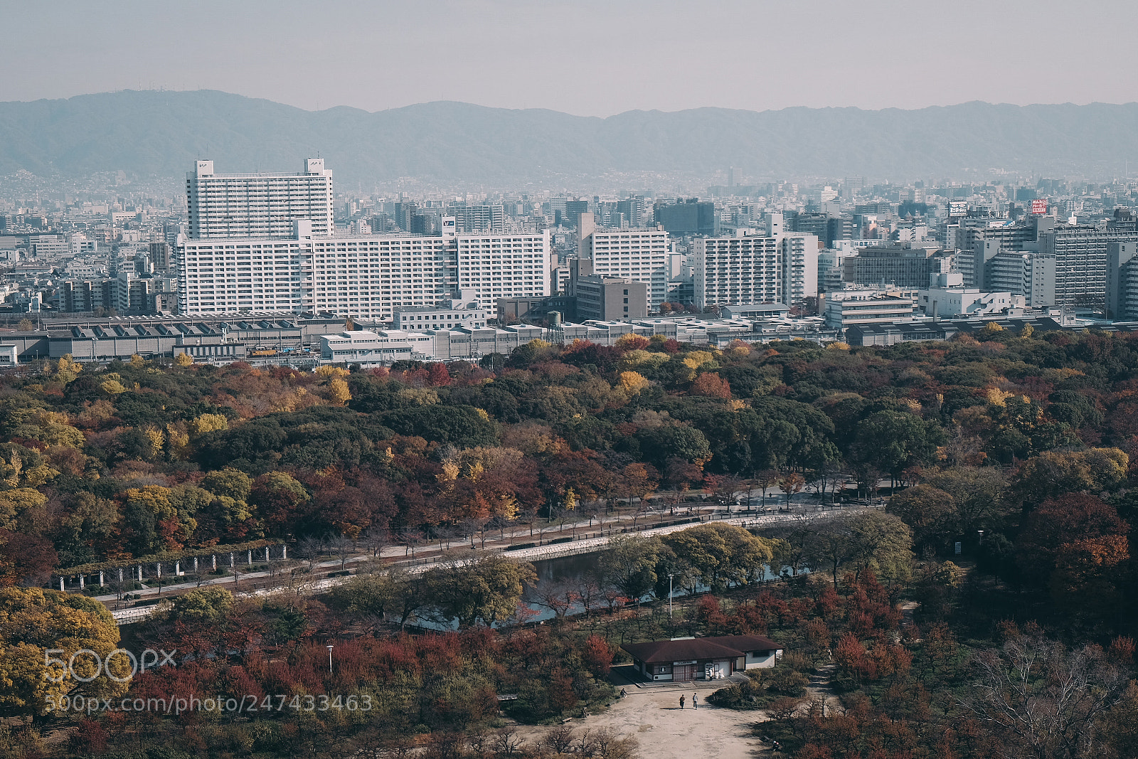 Fujifilm X-Pro2 sample photo. Osaka castle park photography