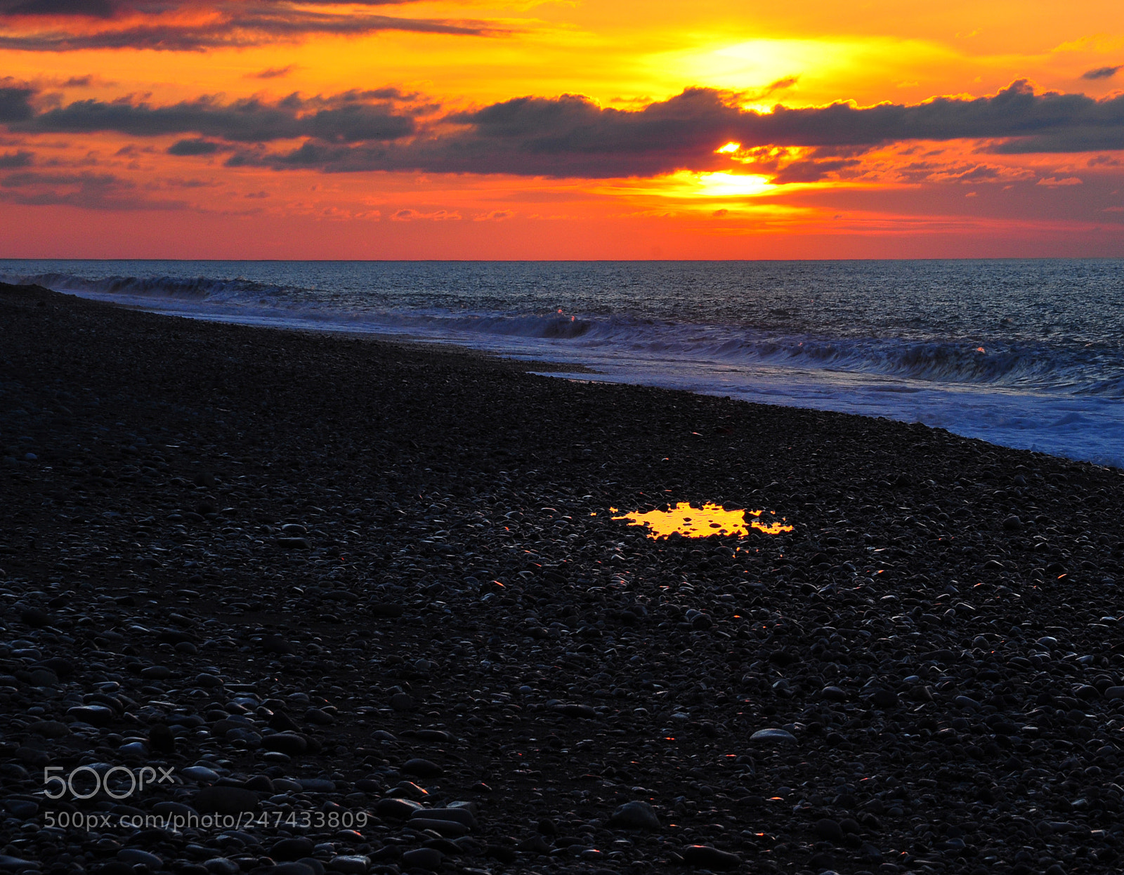 Nikon D90 sample photo. Puddle of gold photography