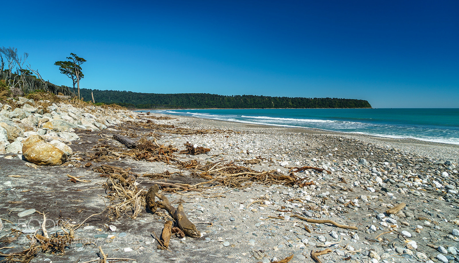 Sony a9 sample photo. Wild beach photography
