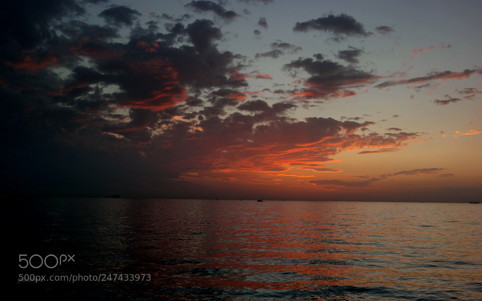 Samsung NX1 sample photo. ... photography