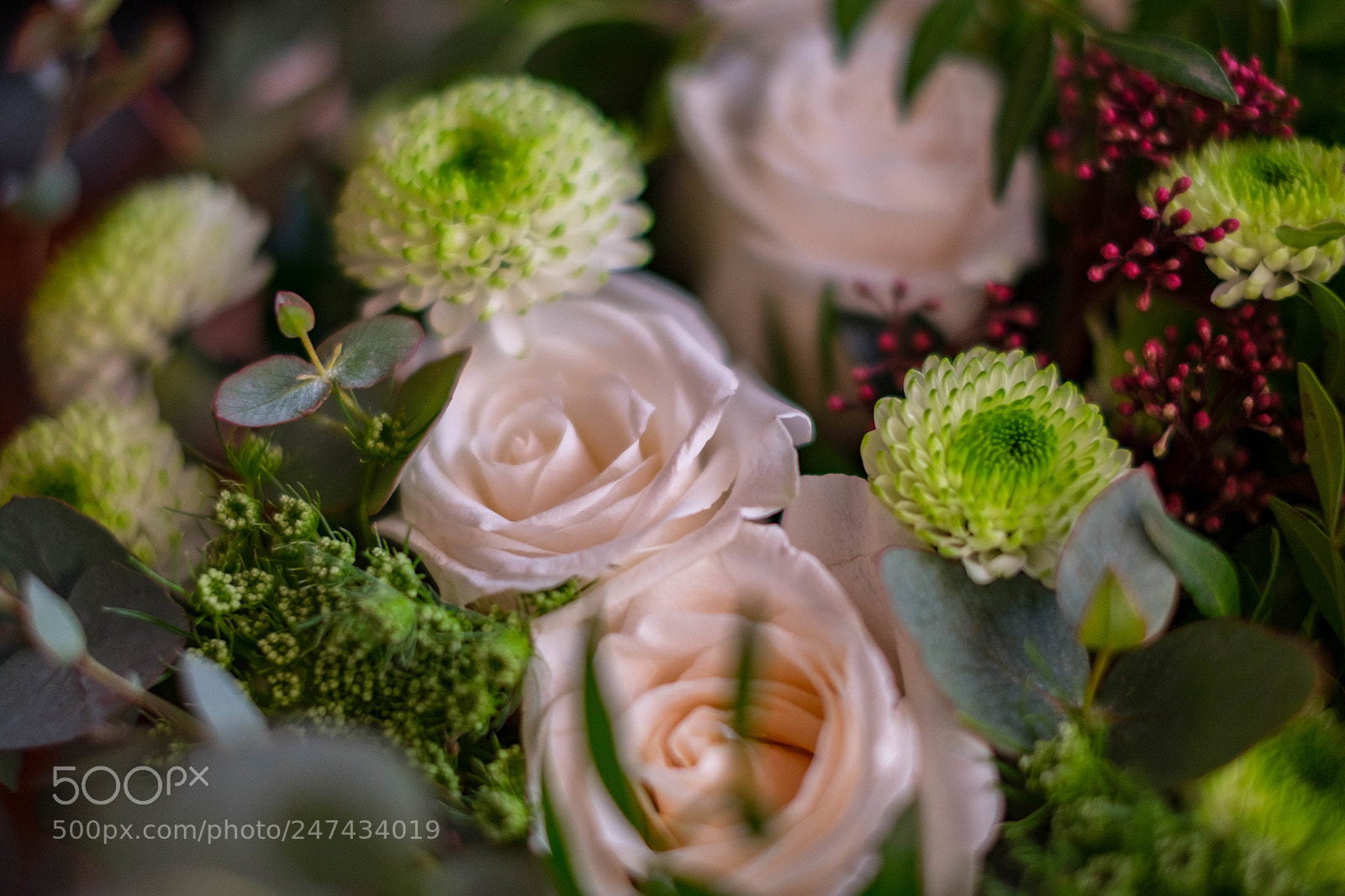 Fujifilm X-T10 sample photo. Flower bouquet for you photography