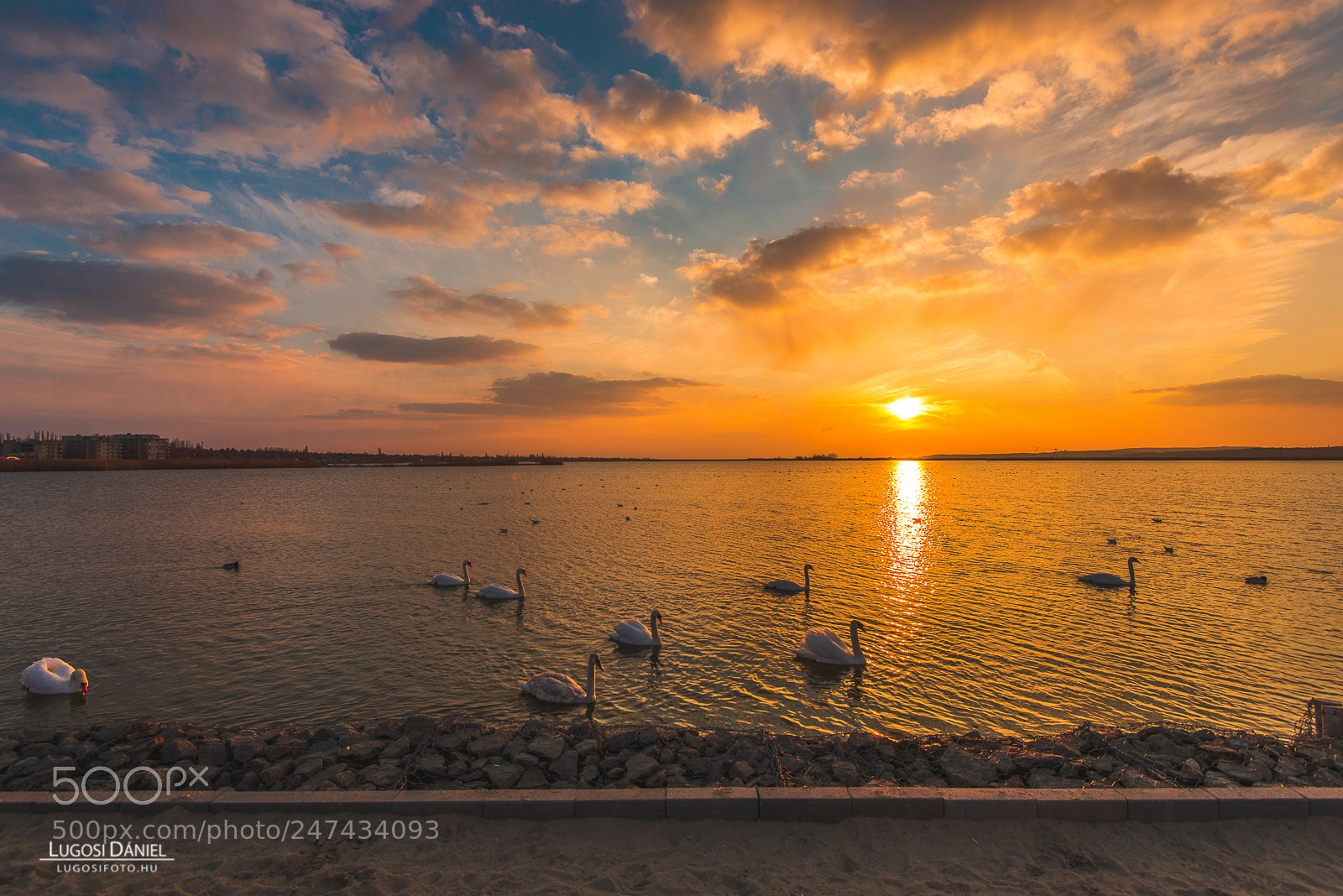 Nikon D610 sample photo. Venice lake photography
