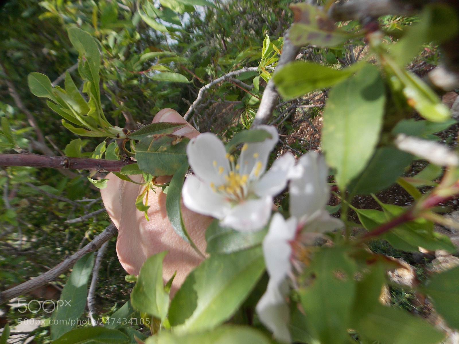 Nikon Coolpix L810 sample photo. Untitled photography
