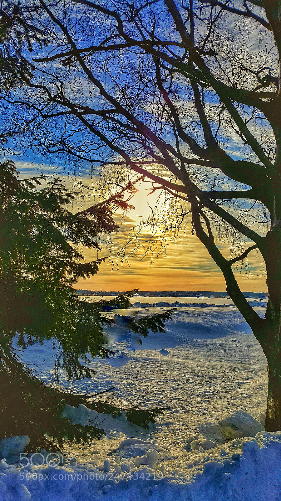 Samsung Galaxy S6 sample photo. A cold winter day photography