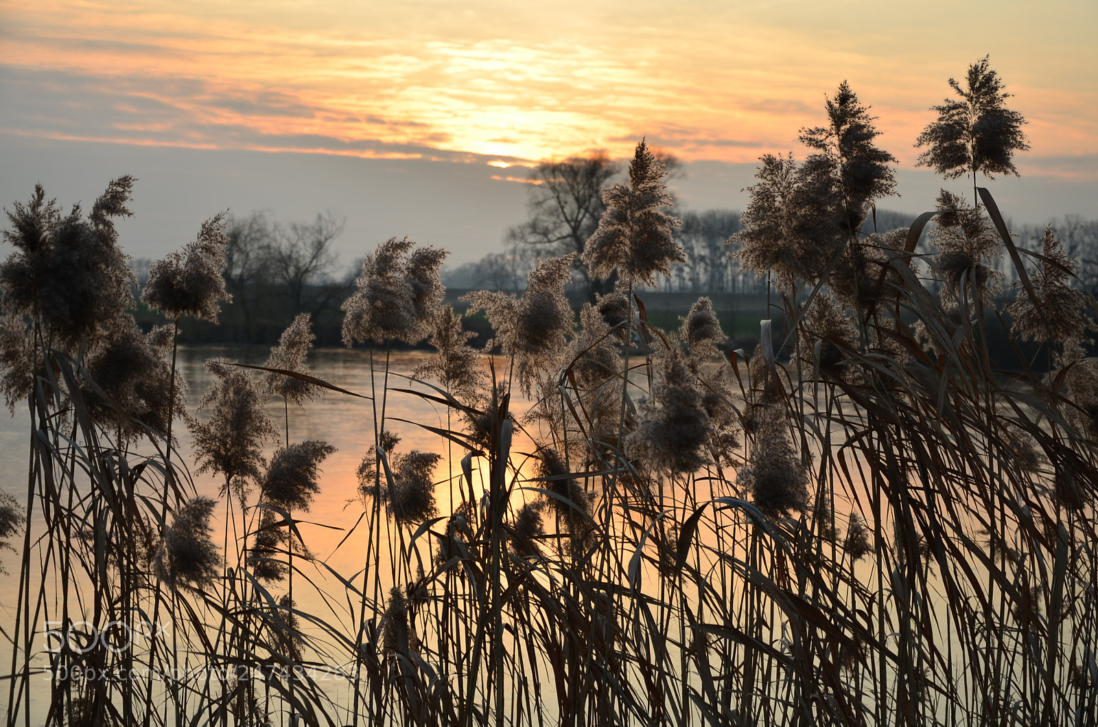 Nikon D5100 sample photo. 292 photography