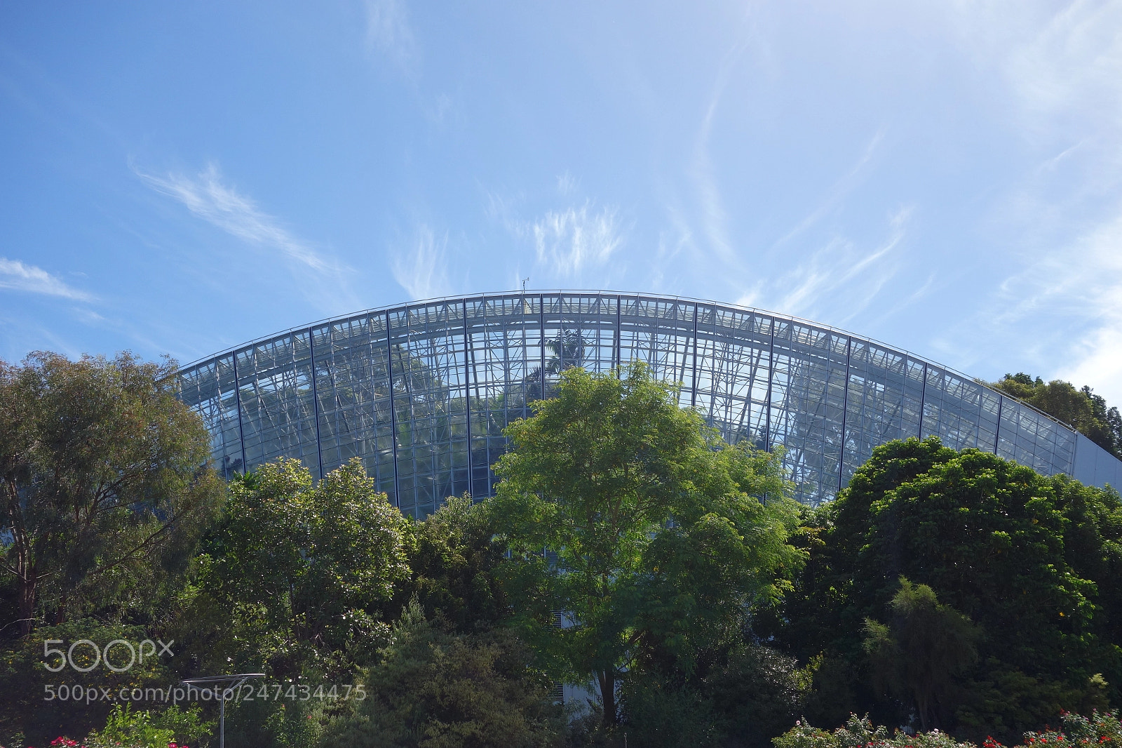 Sony Cyber-shot DSC-RX100 sample photo. The jurassic garden photography
