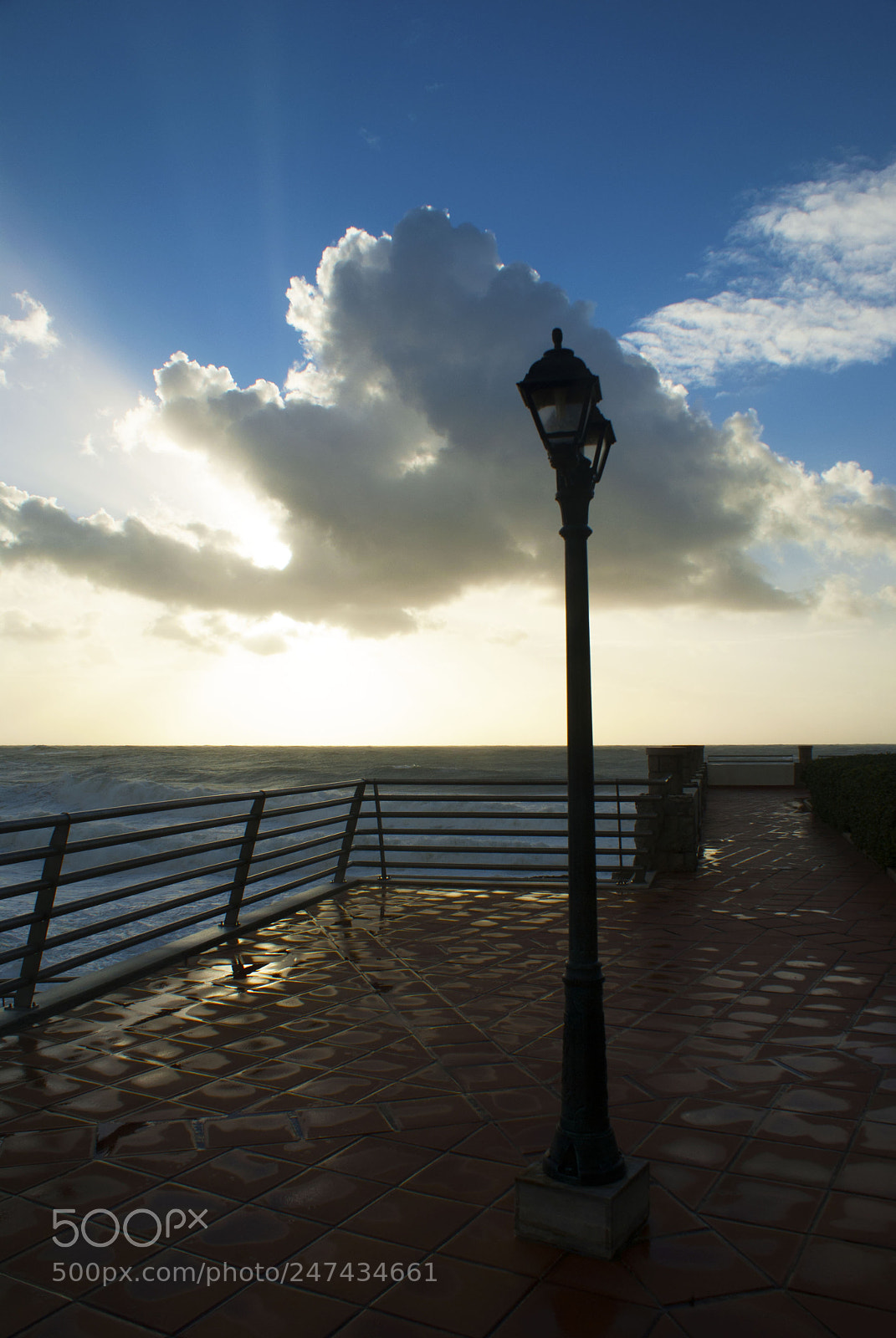 Sony Alpha DSLR-A100 sample photo. After the storm photography