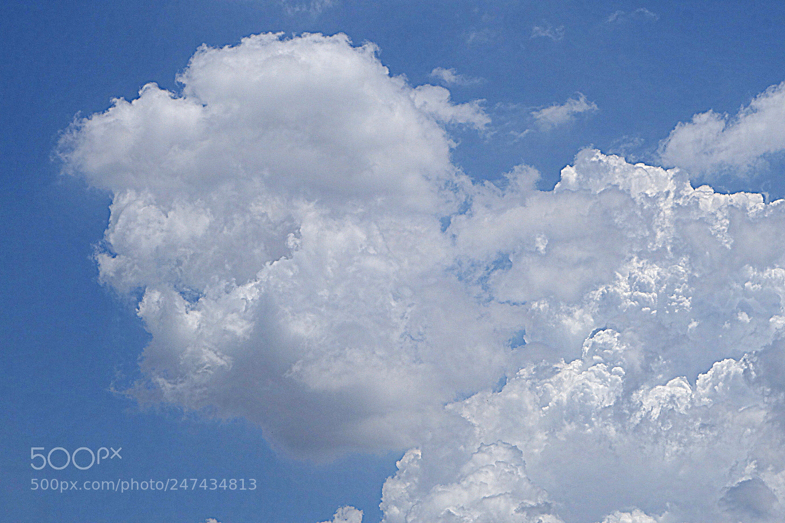 Sony Cyber-shot DSC-RX100 II sample photo. Mekong lot () photography