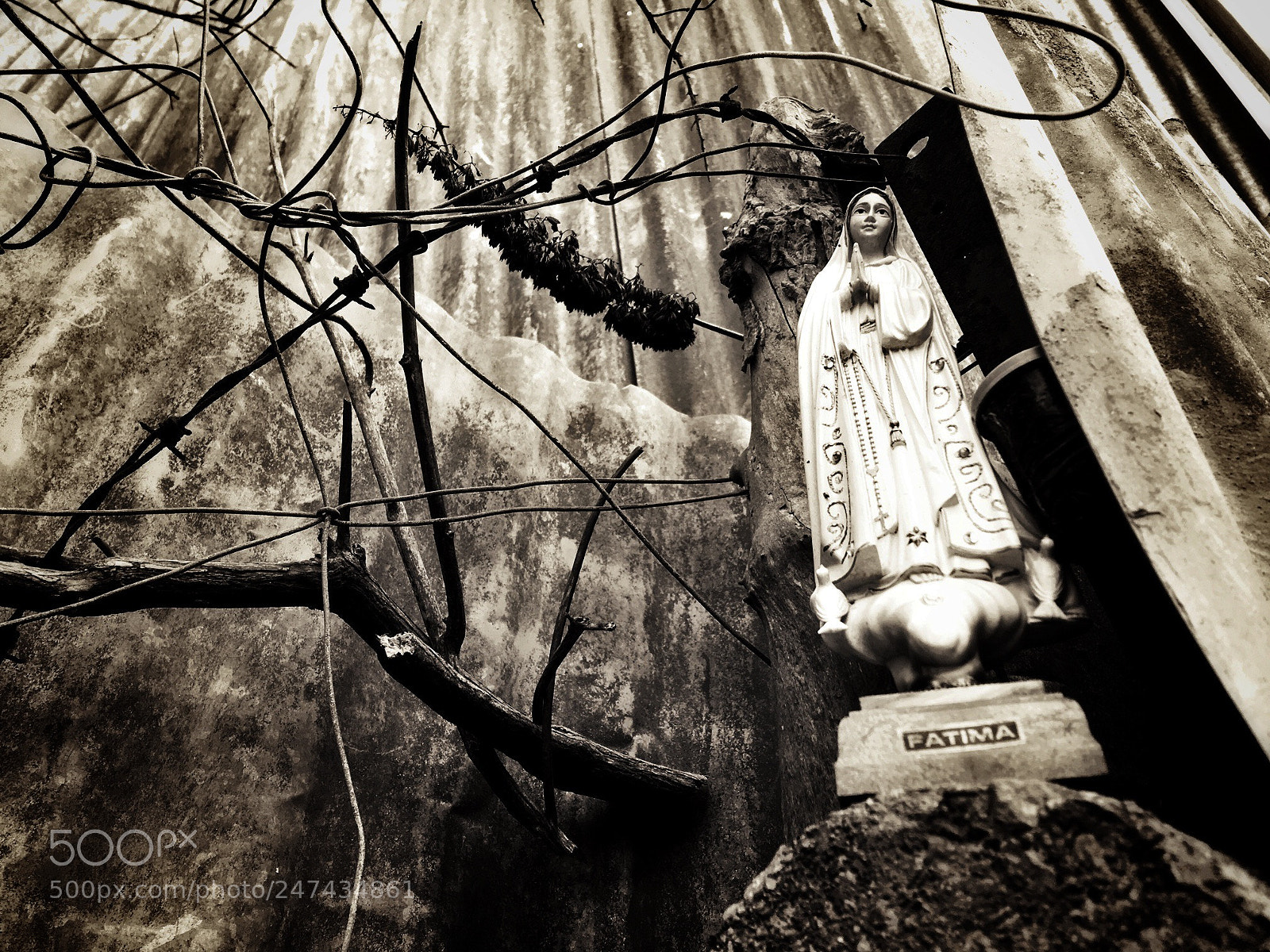 Apple iPhone SE sample photo. Our lady of the photography