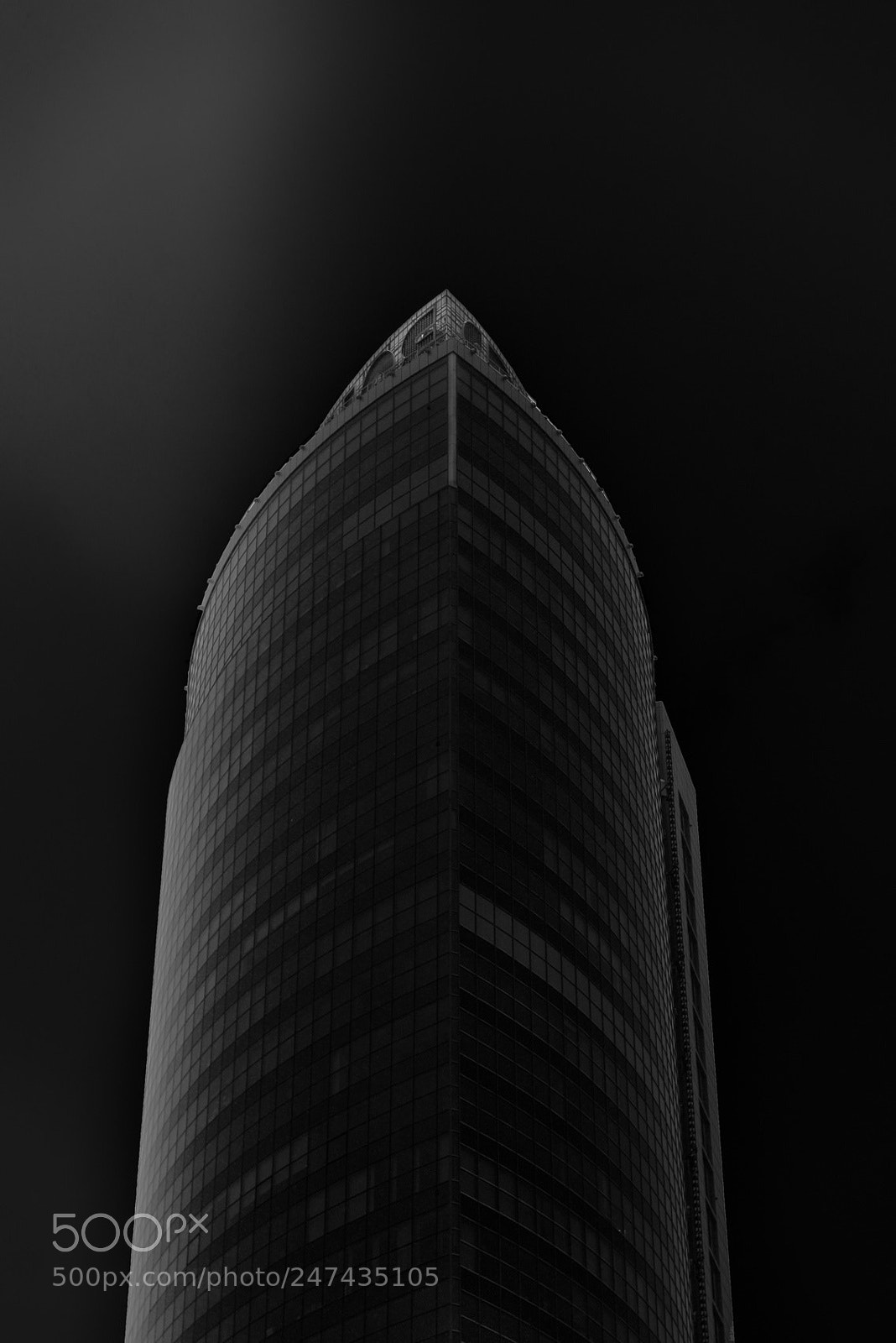 Nikon D810 sample photo. The light photography
