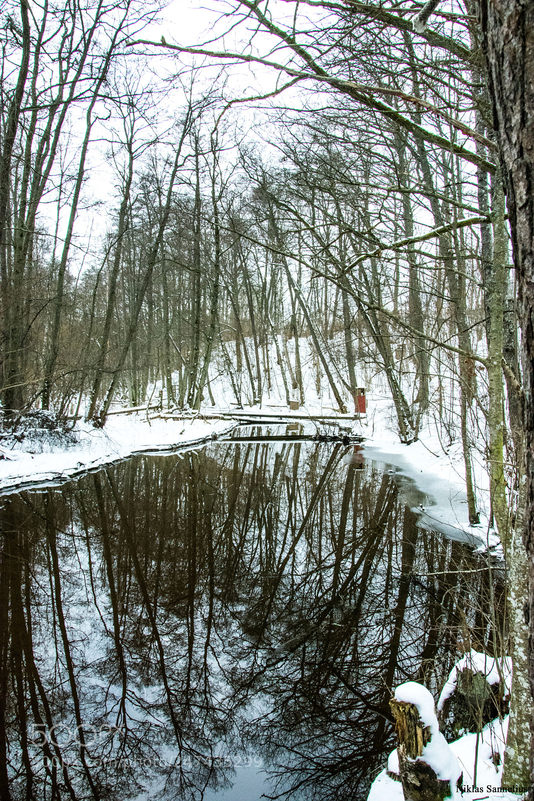 Nikon D3400 sample photo. En vid vidblick i photography